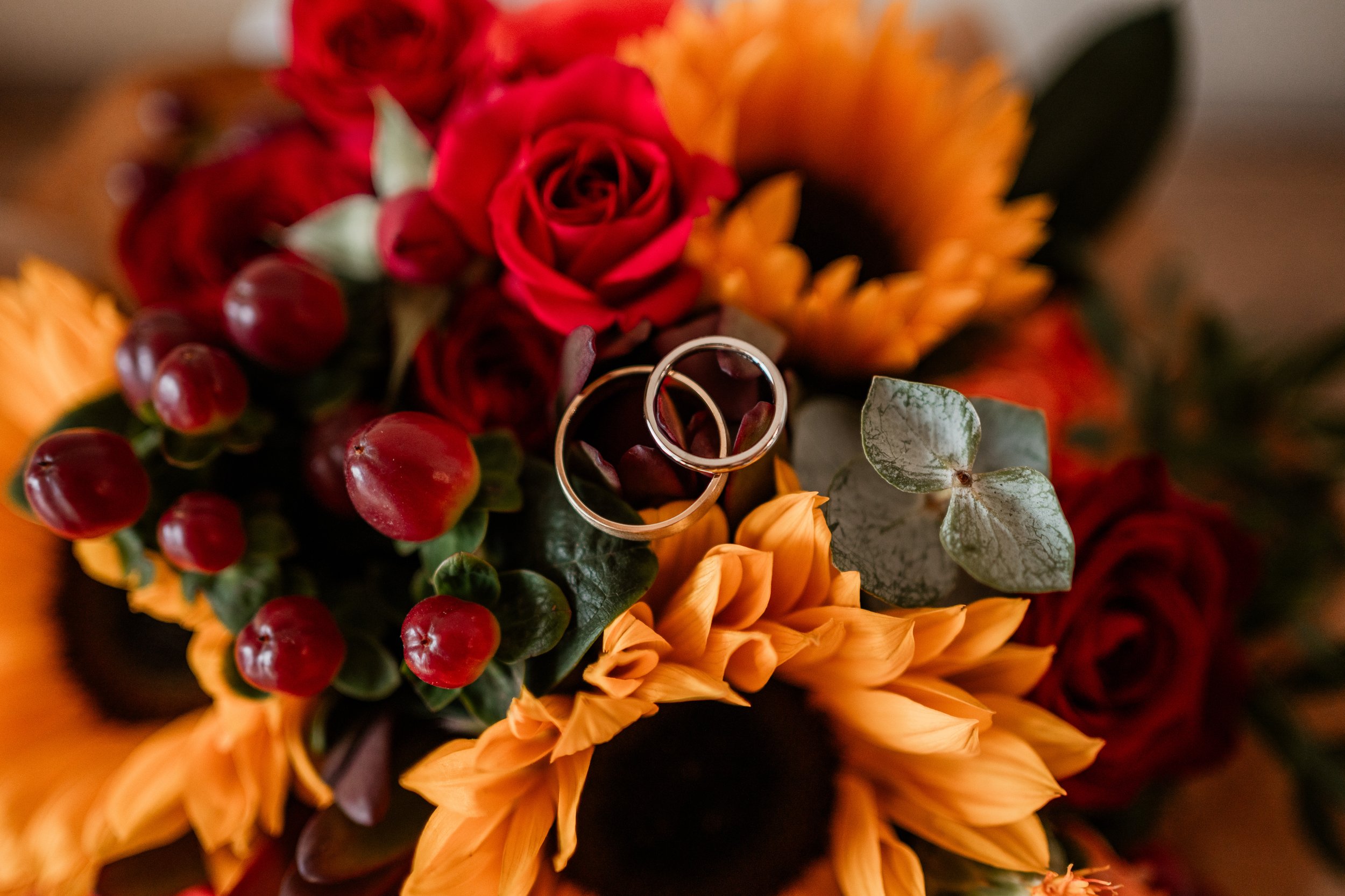 251018Steph and Harry-6.jpg