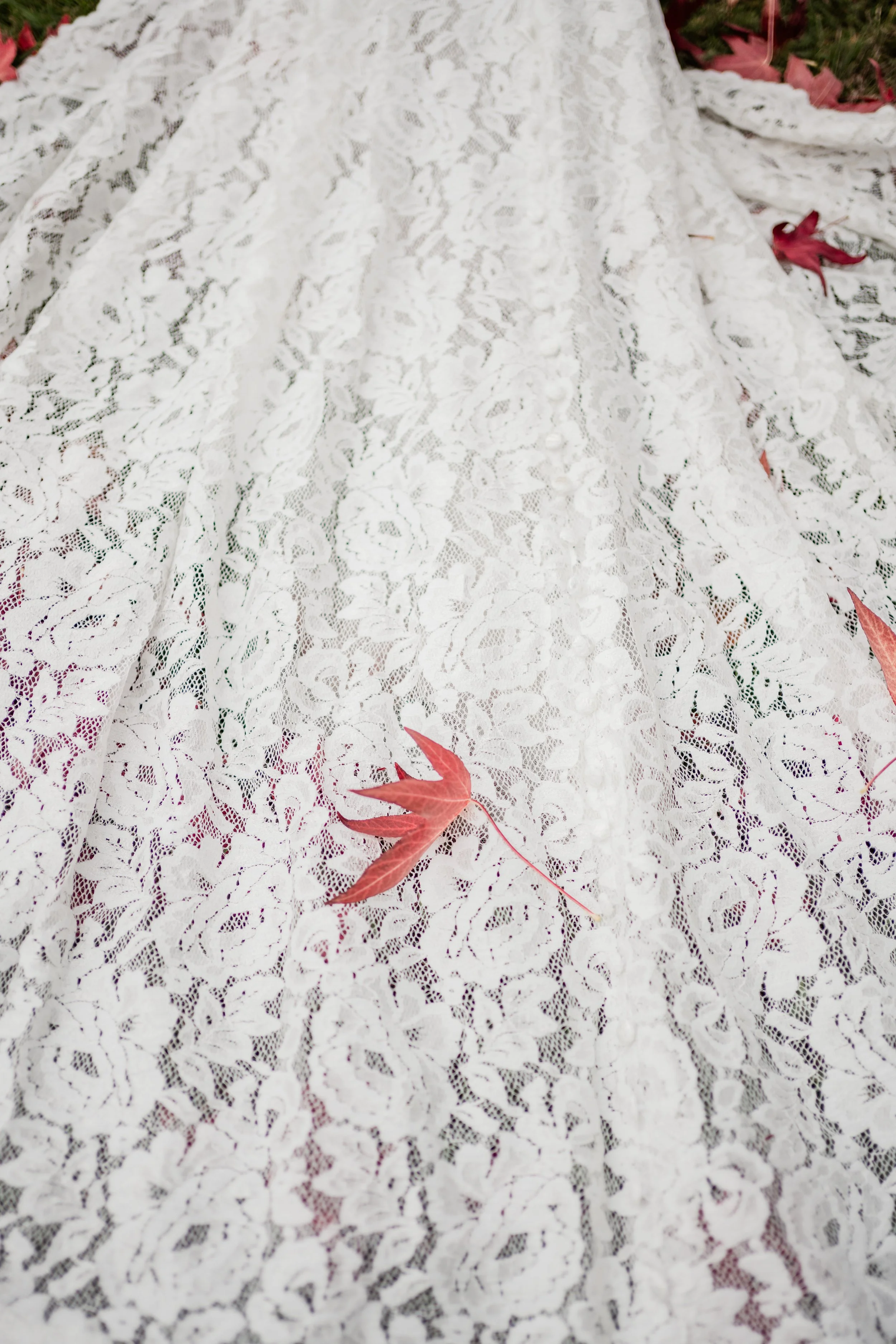 251018Steph and Harry-68.jpg