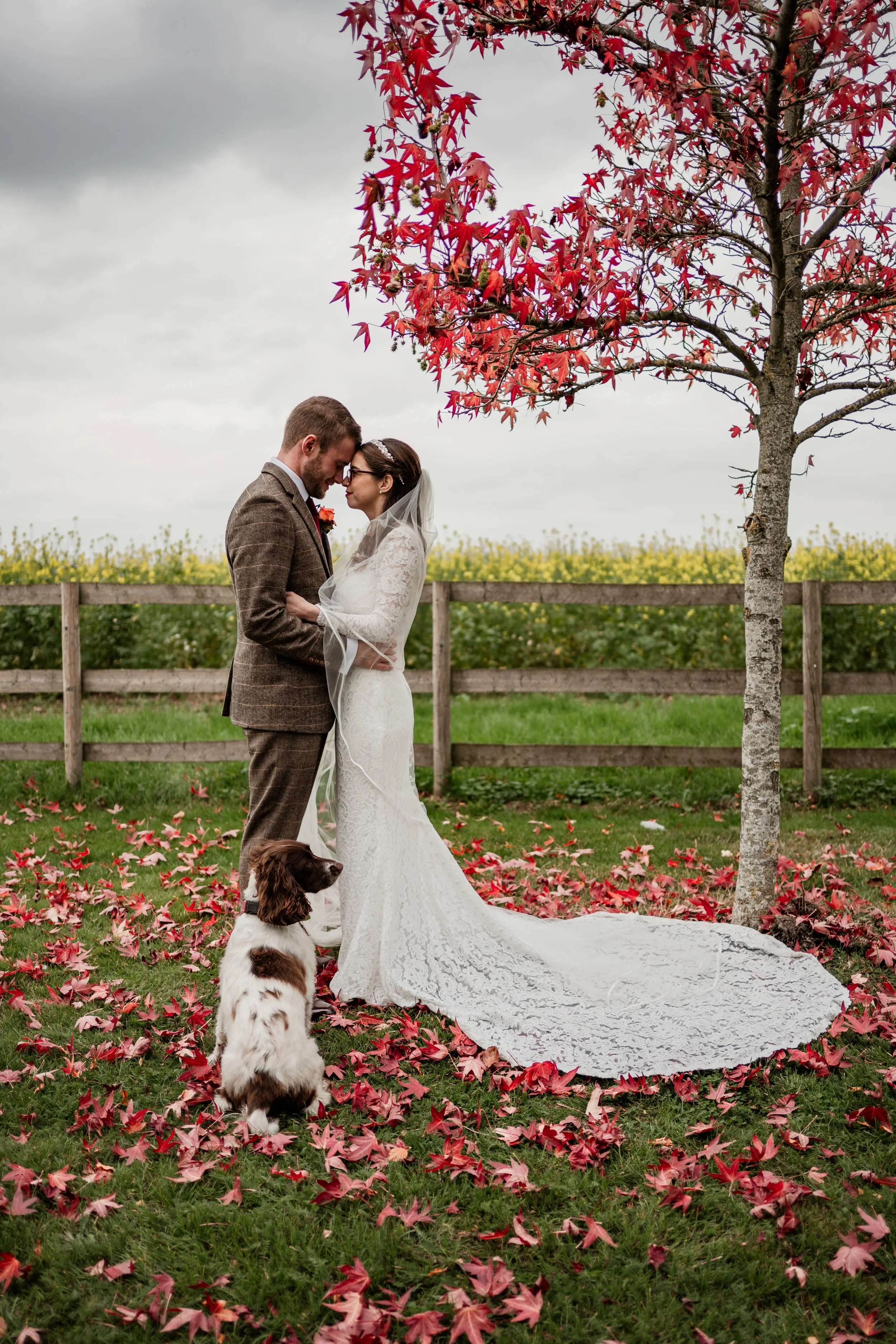 251018Steph and Harry-59.jpg