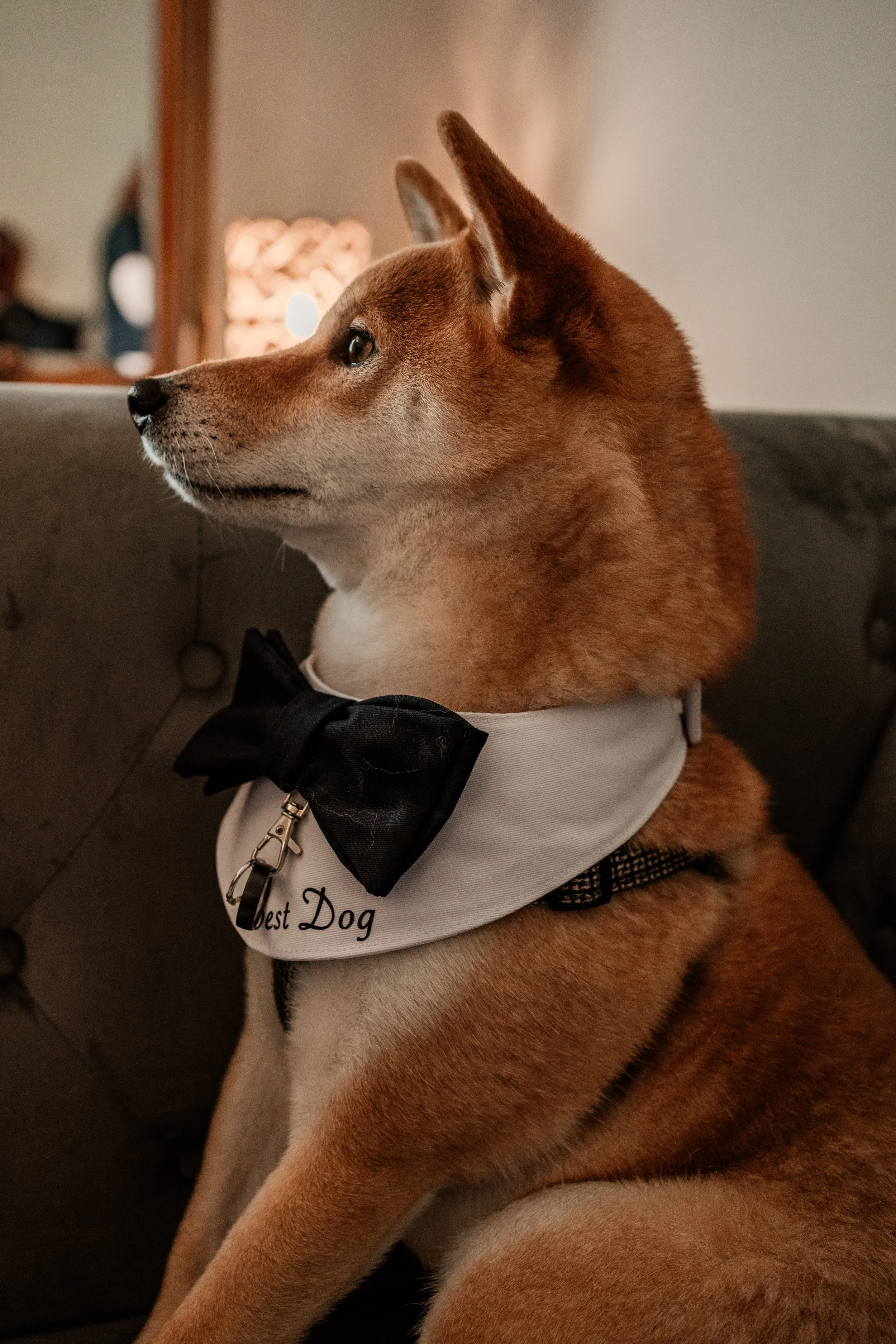 250831Jade and Jake-17.jpg