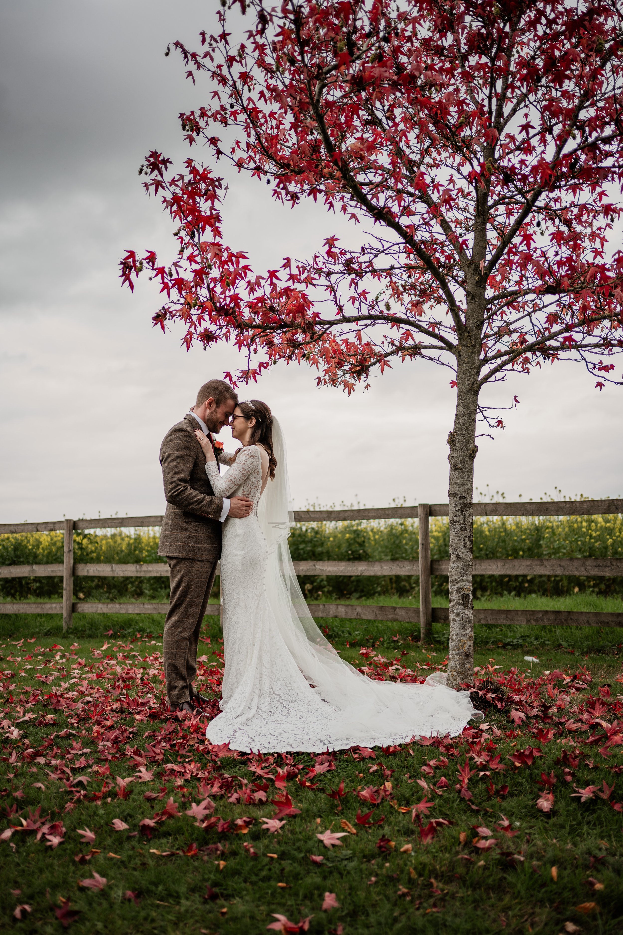 251018Steph and Harry-56.jpg