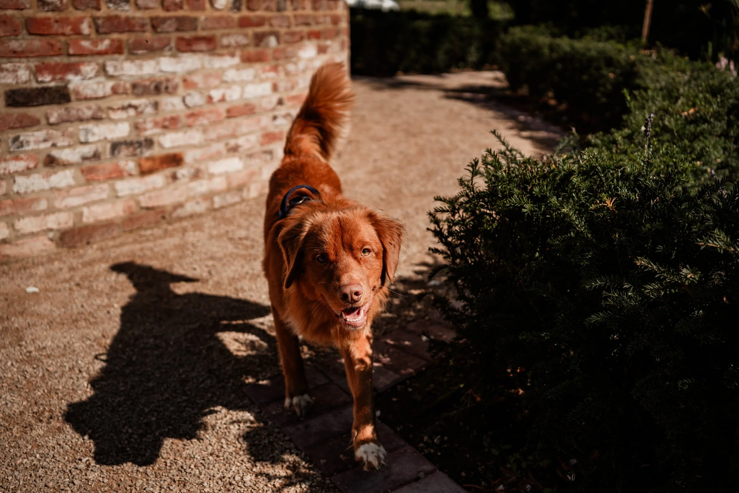 250919Hannah and Ray-35.jpg