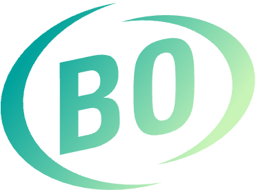 Bo 360 Bienestar Organizacional 360º