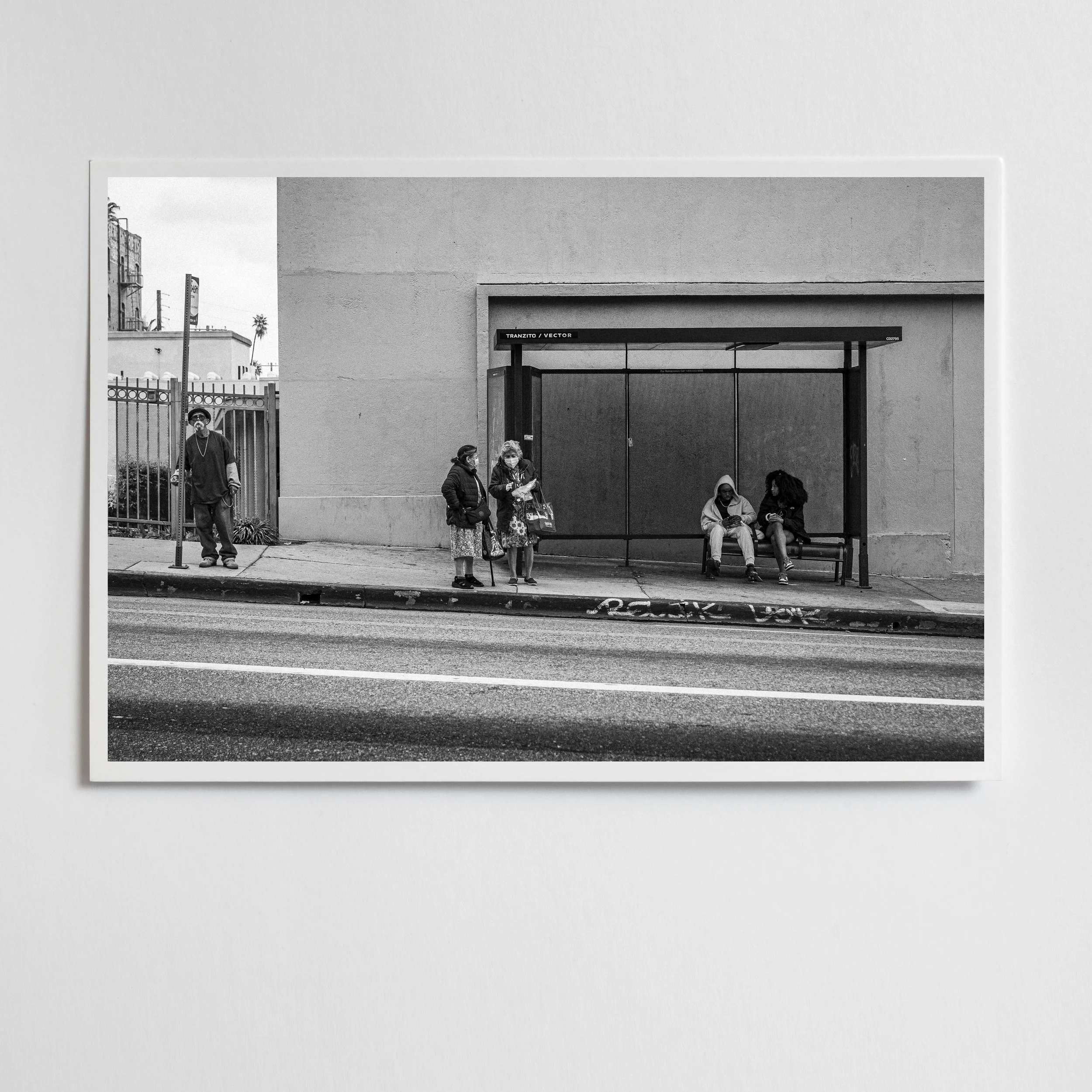 LA 002.jpg