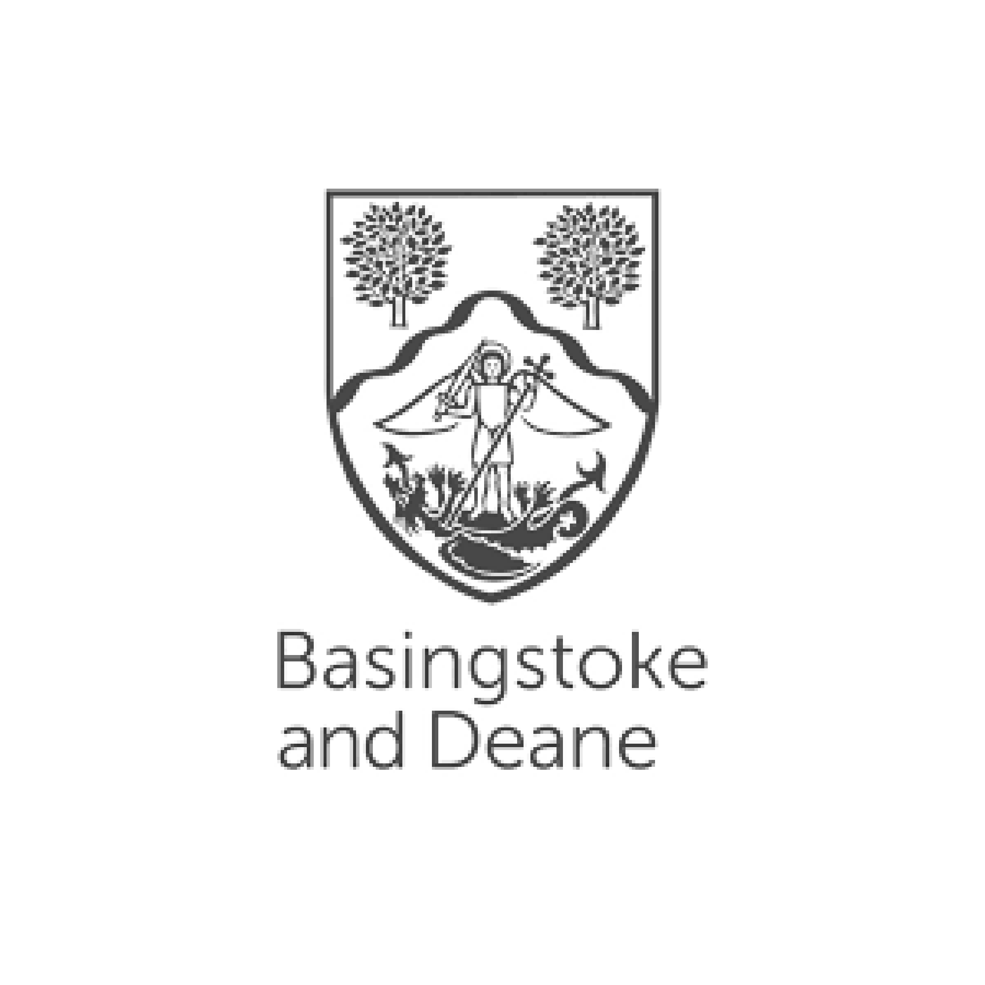 Basingstoke and Deane Borough Council (Copy) (Copy) (Copy) (Copy) (Copy)