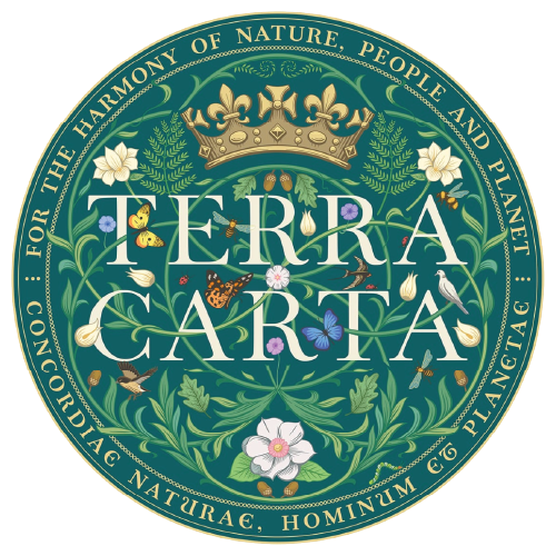 Code 9 Security - Partners_Terra Carta.webp