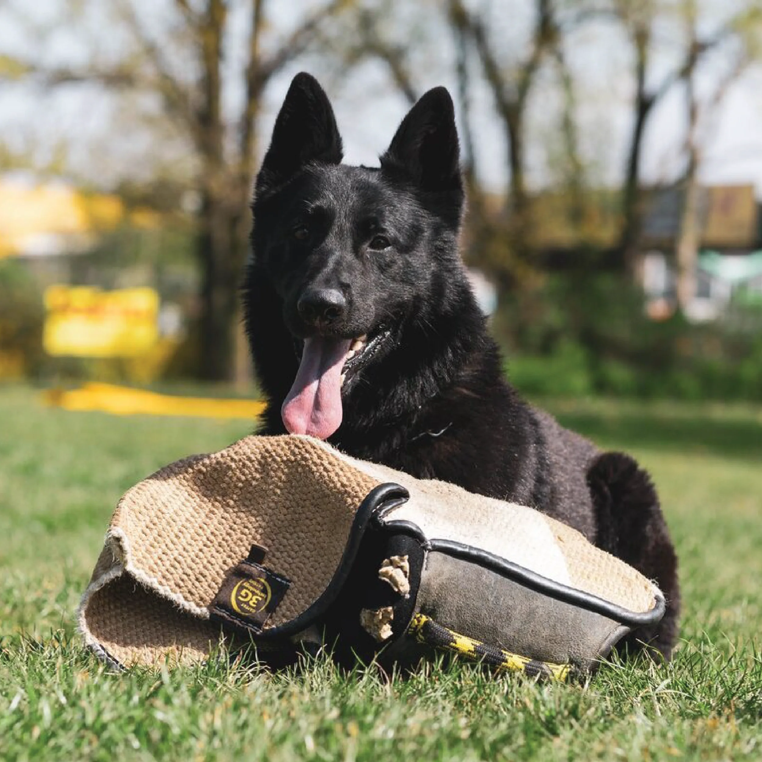 Code 9 Security Dog Section