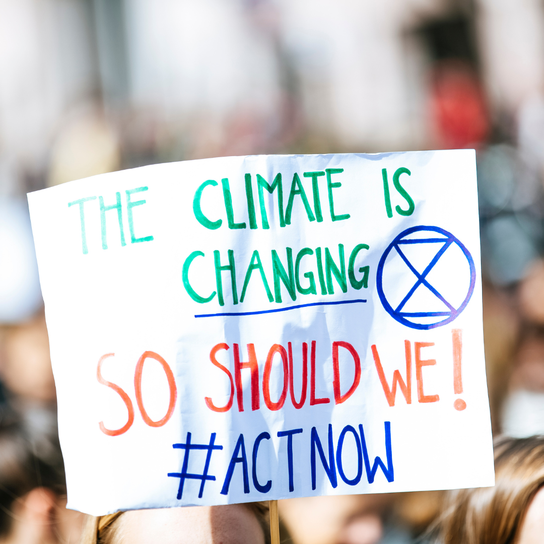 The Importance of Climate Action: From Individual Steps to Policy Change