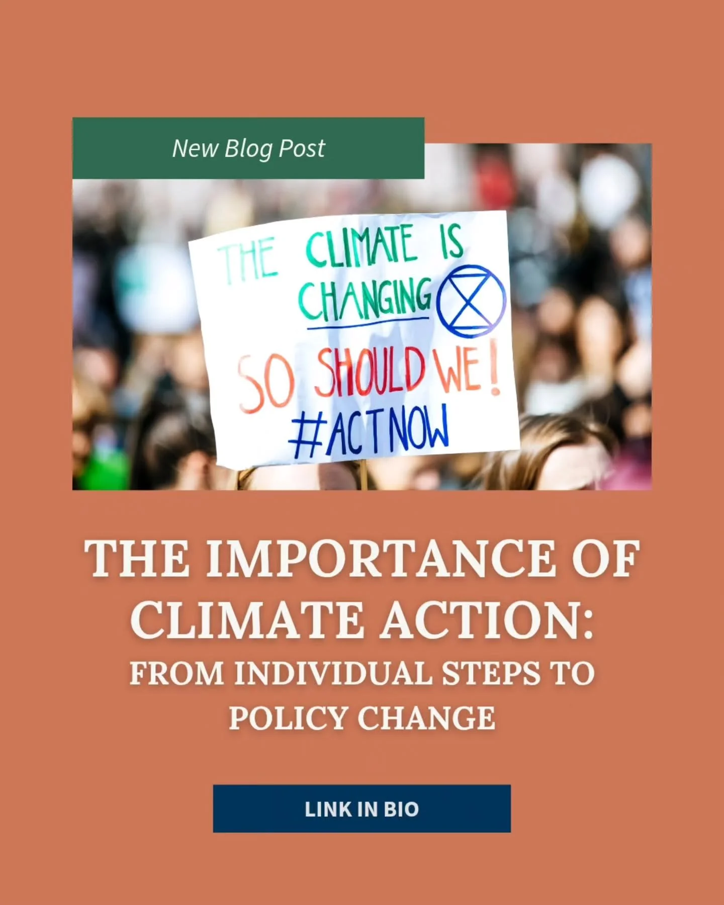 More than just recycling!

Climate action can feel overwhelming, but every small step counts. From reducing flights to boycotting brands tied to climate disinformation, our everyday choices matter.

Public transit, eating what you buy, and only purch