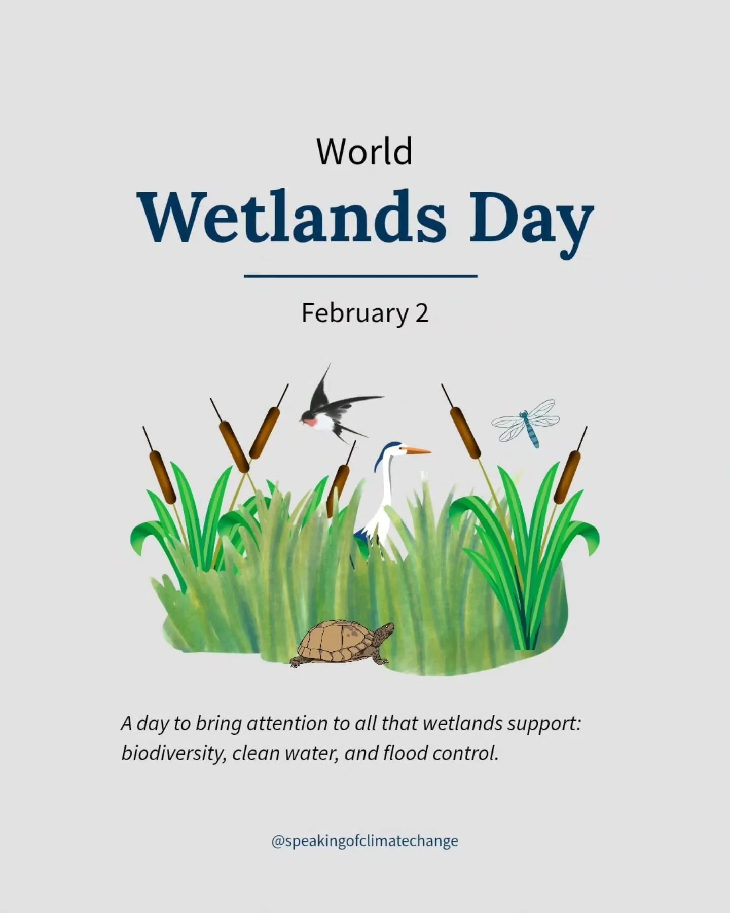 Every February 2, we celebrate World Wetlands Day 

These ecosystems support wildlife, communities, and even help regulate our climate.

This year&rsquo;s theme, &ldquo;Wetlands and traditional knowledge: Celebrating cultural heritage,&rdquo; highlig