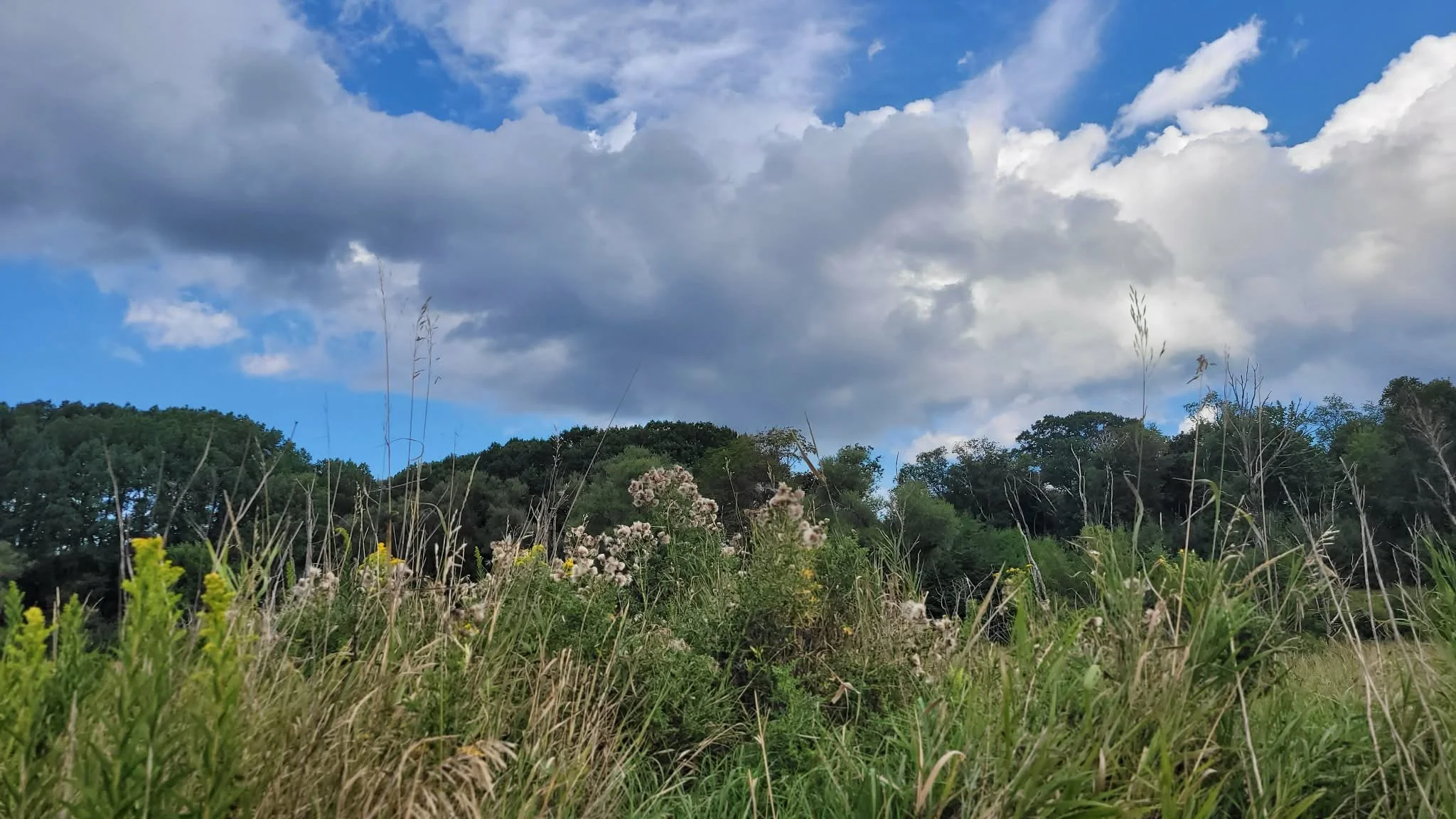 9306503f-caa8-4e30-8275-2e42c571ede8.jpeg