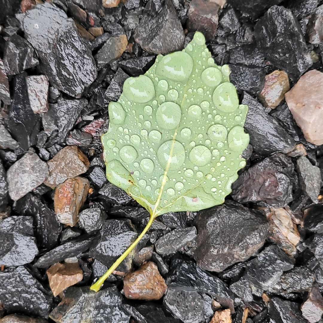 The Weather Journal: September 2026