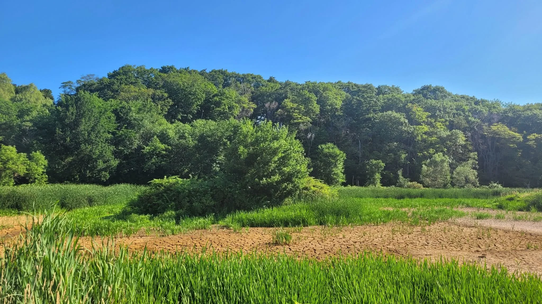 The Weather Journal: July 2026