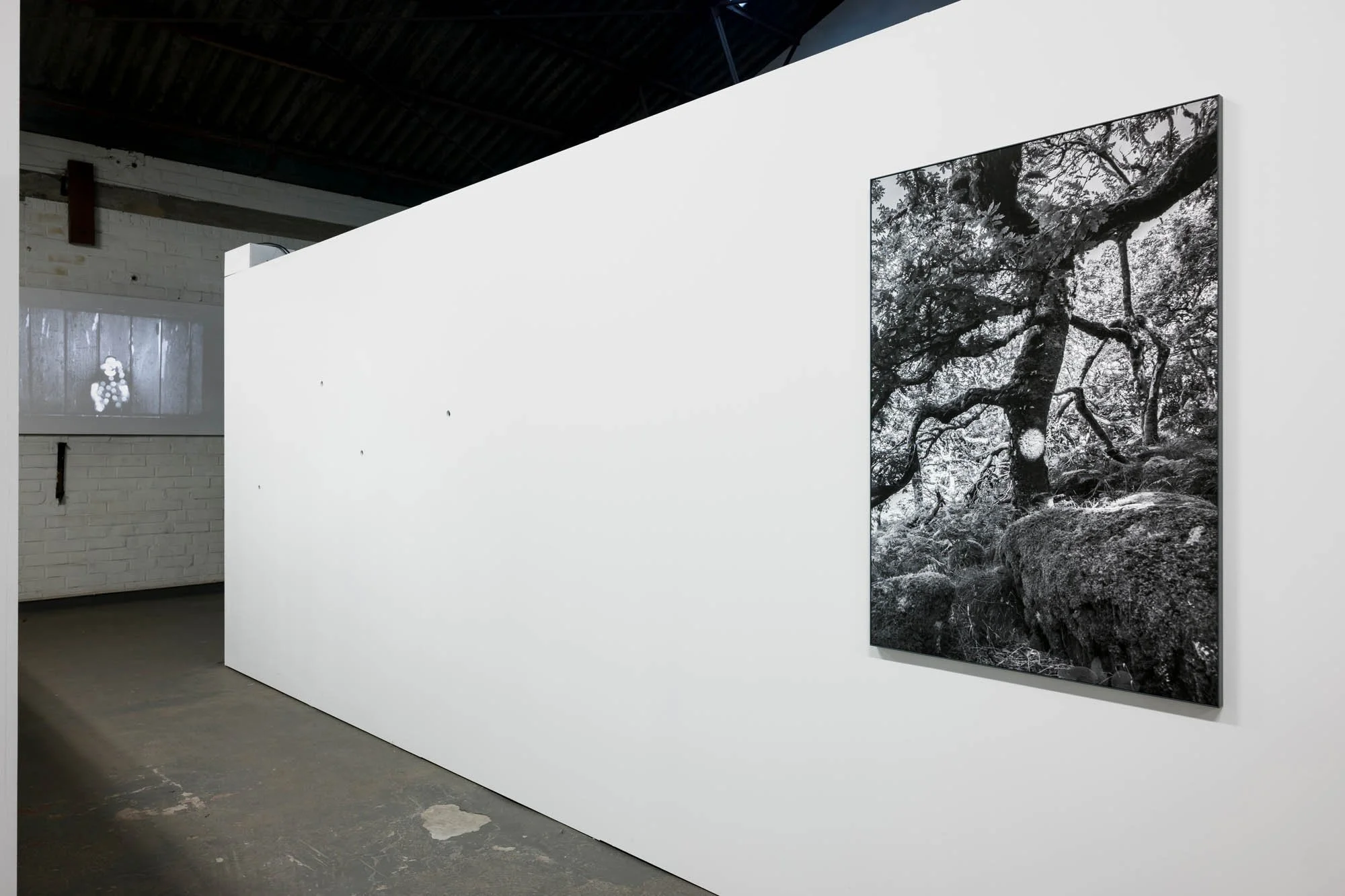 Tine Guns - Juggle Struggle_004_©CedricVerhelst.jpg