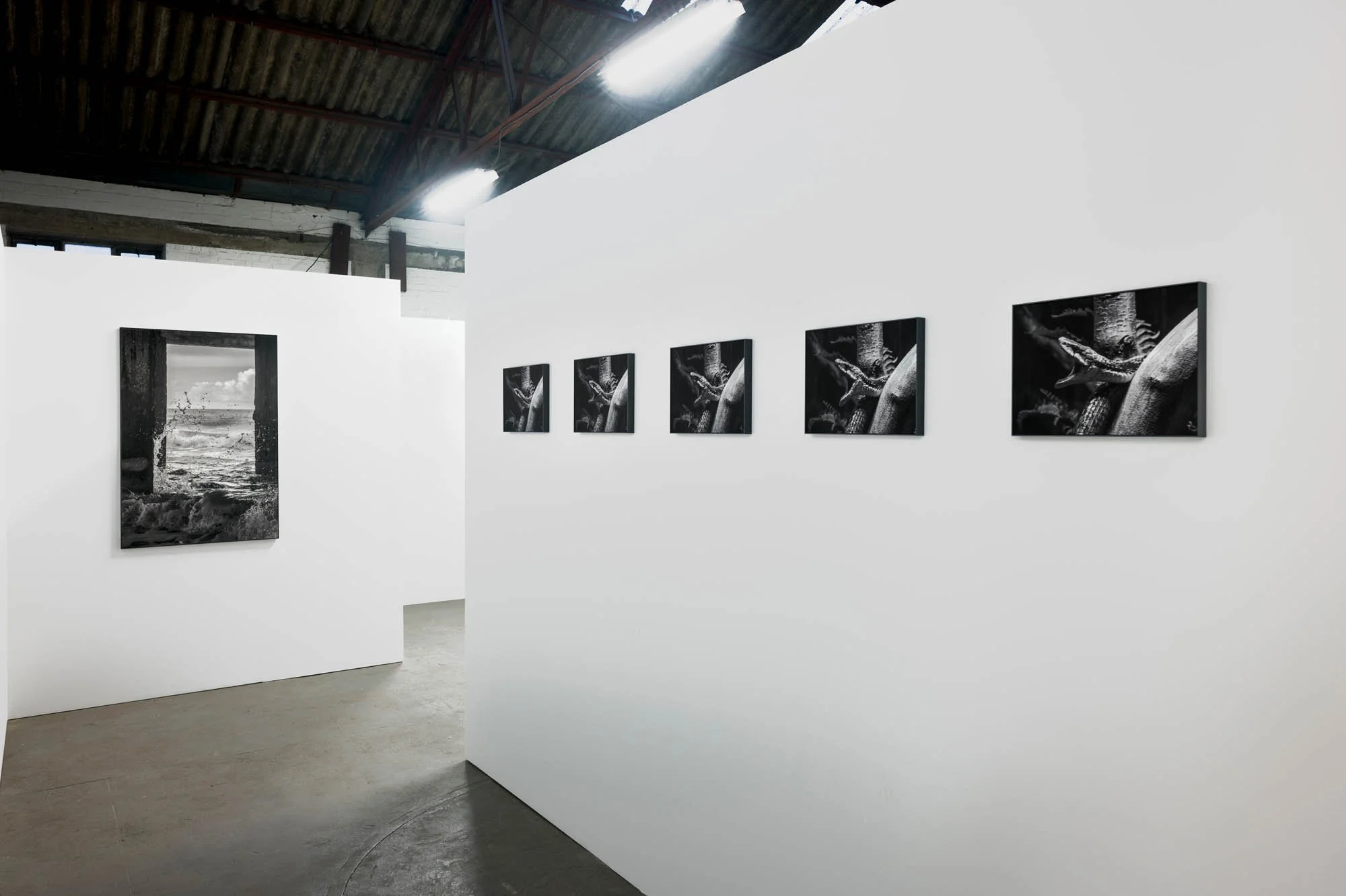 Tine Guns - Juggle Struggle_005_©CedricVerhelst.jpg