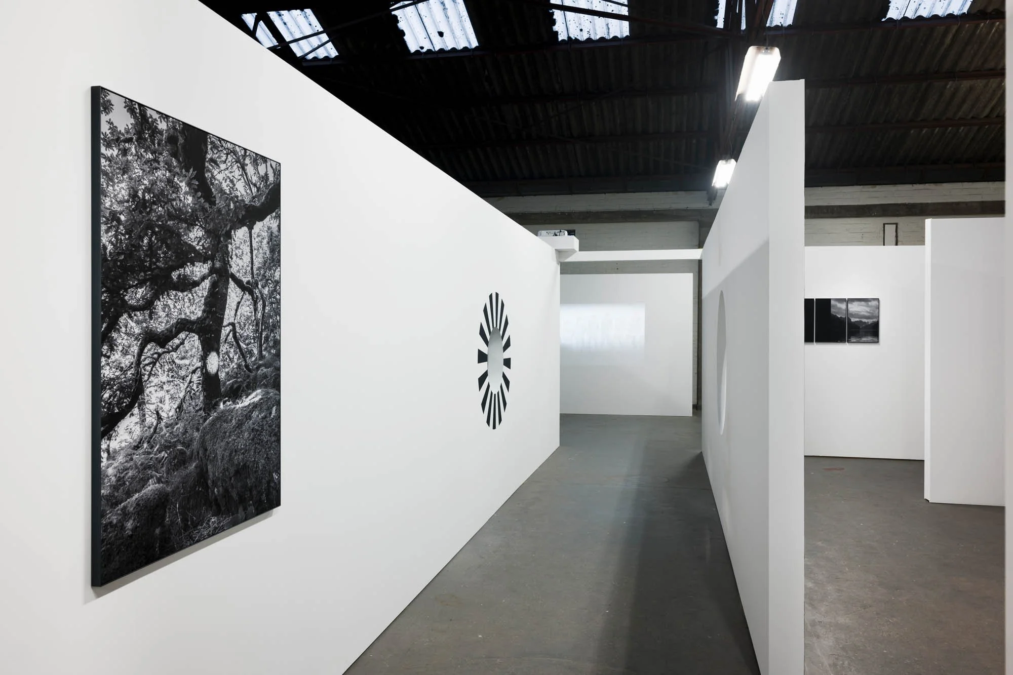 Tine Guns - Juggle Struggle_006_©CedricVerhelst.jpg