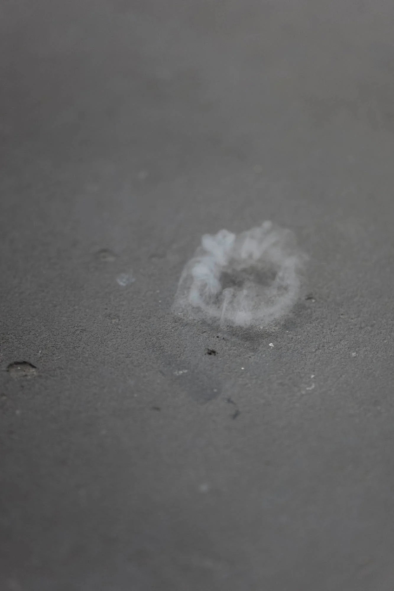 Tine Guns - Juggle Struggle_017_©CedricVerhelst.jpg