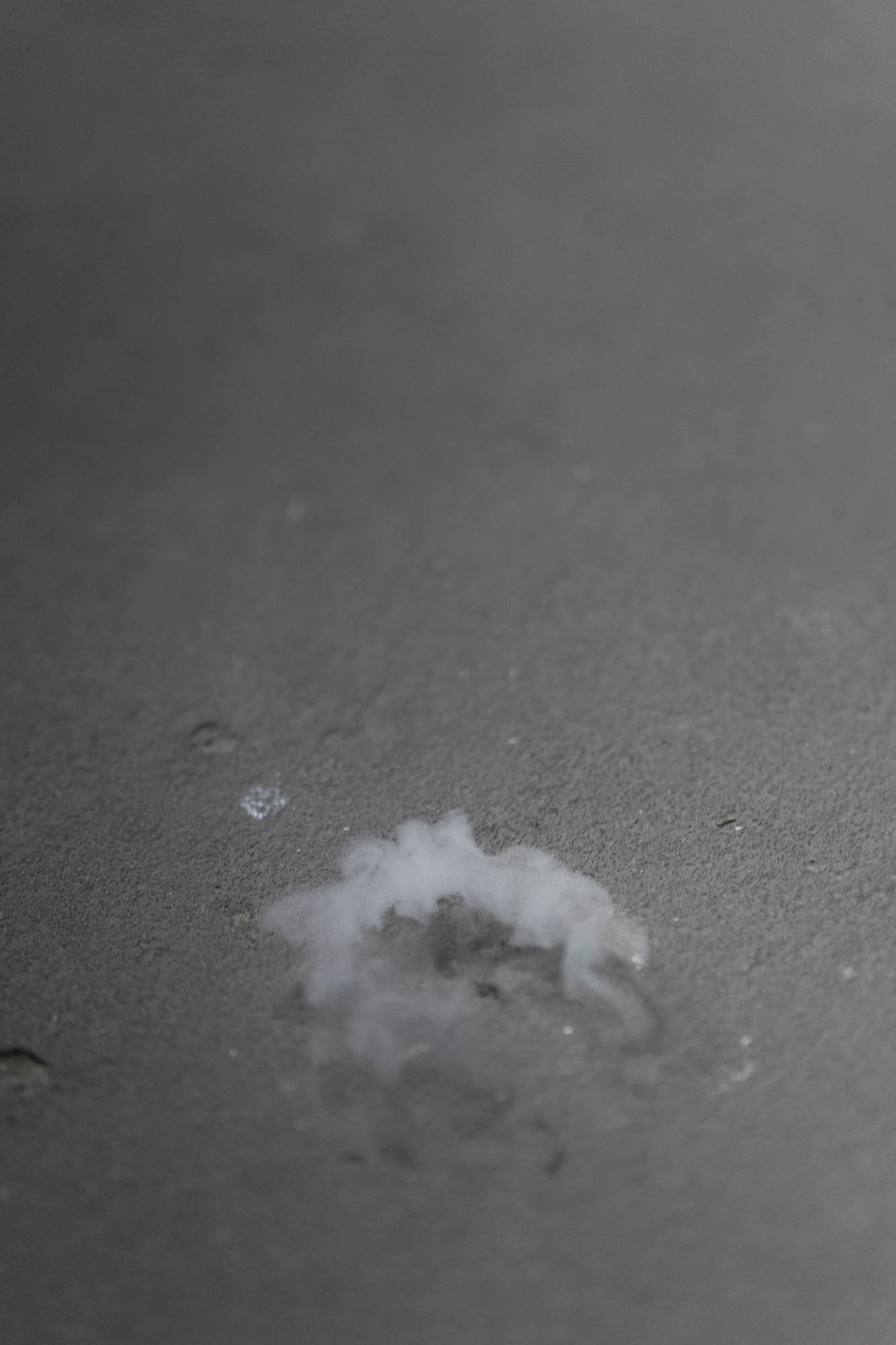 Tine Guns - Juggle Struggle_018_©CedricVerhelst.jpg