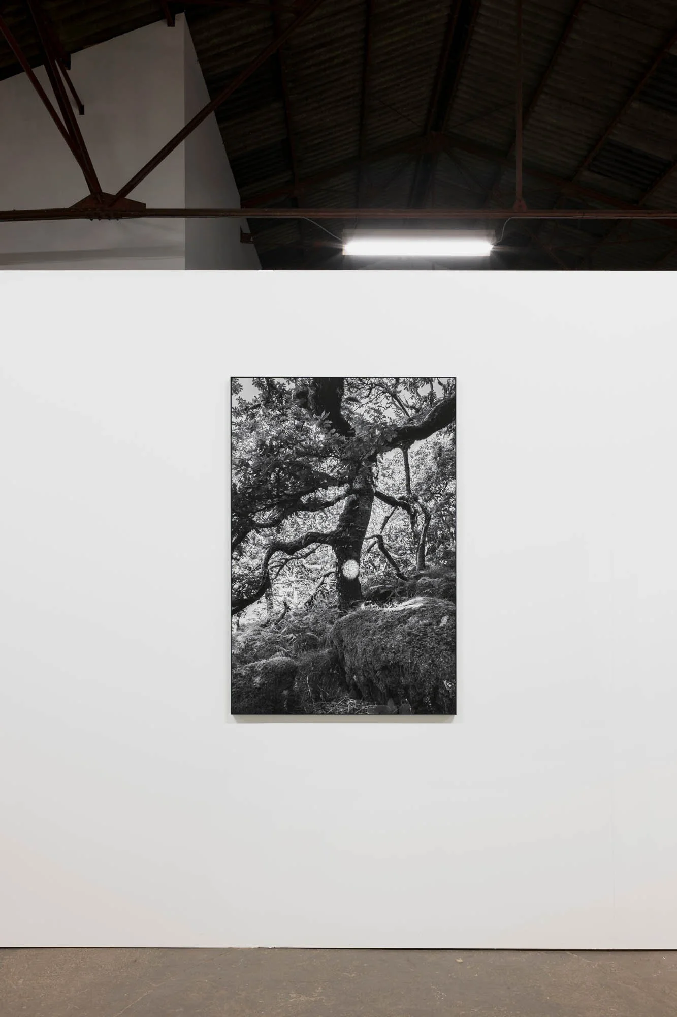 Tine Guns - Juggle Struggle_026_©CedricVerhelst.jpg