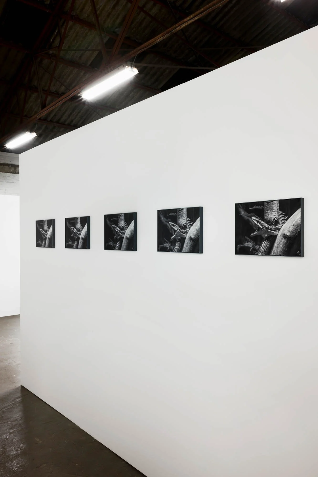 Tine Guns - Juggle Struggle_027_©CedricVerhelst.jpg