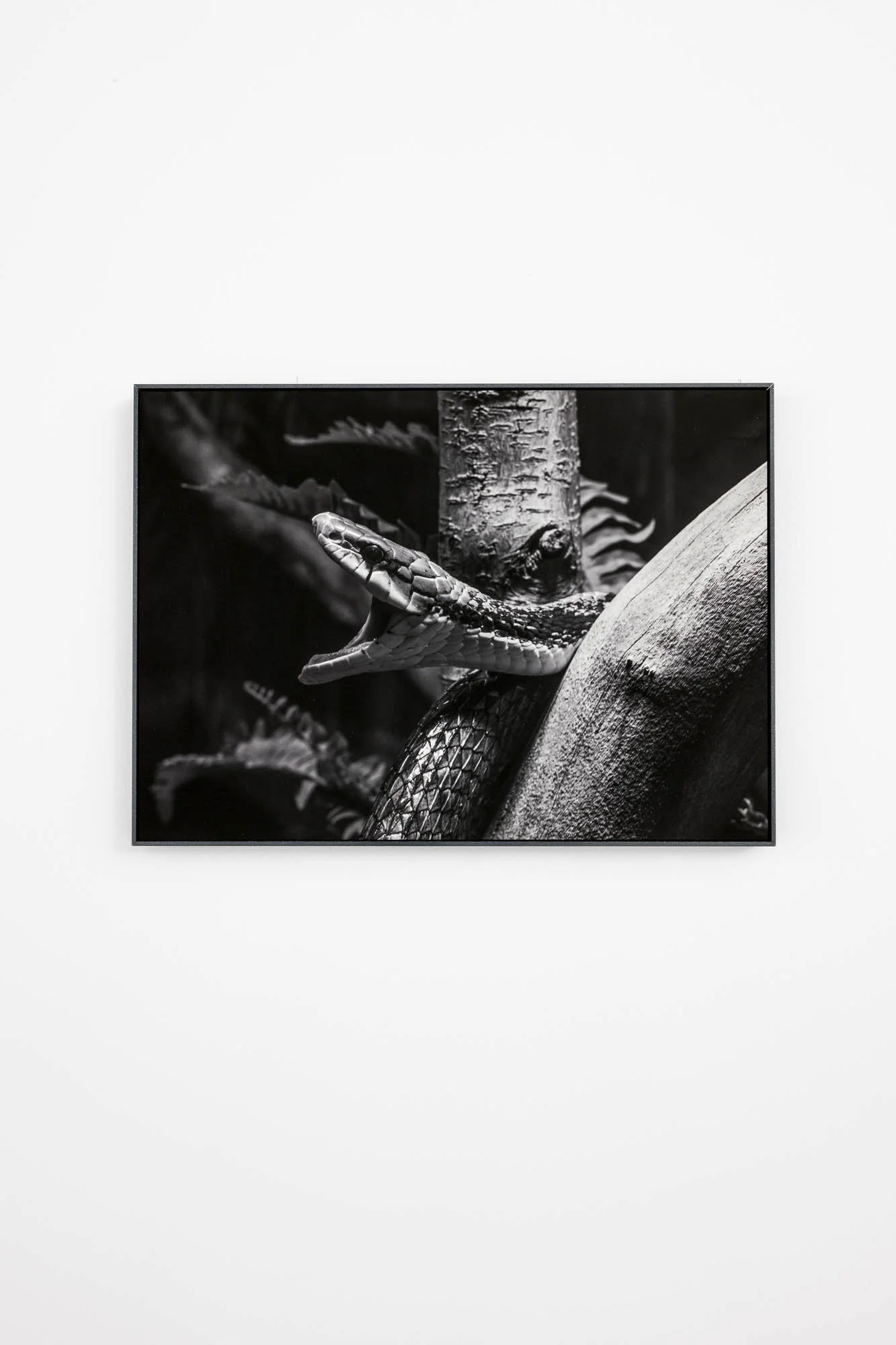 Tine Guns - Juggle Struggle_032_©CedricVerhelst.jpg