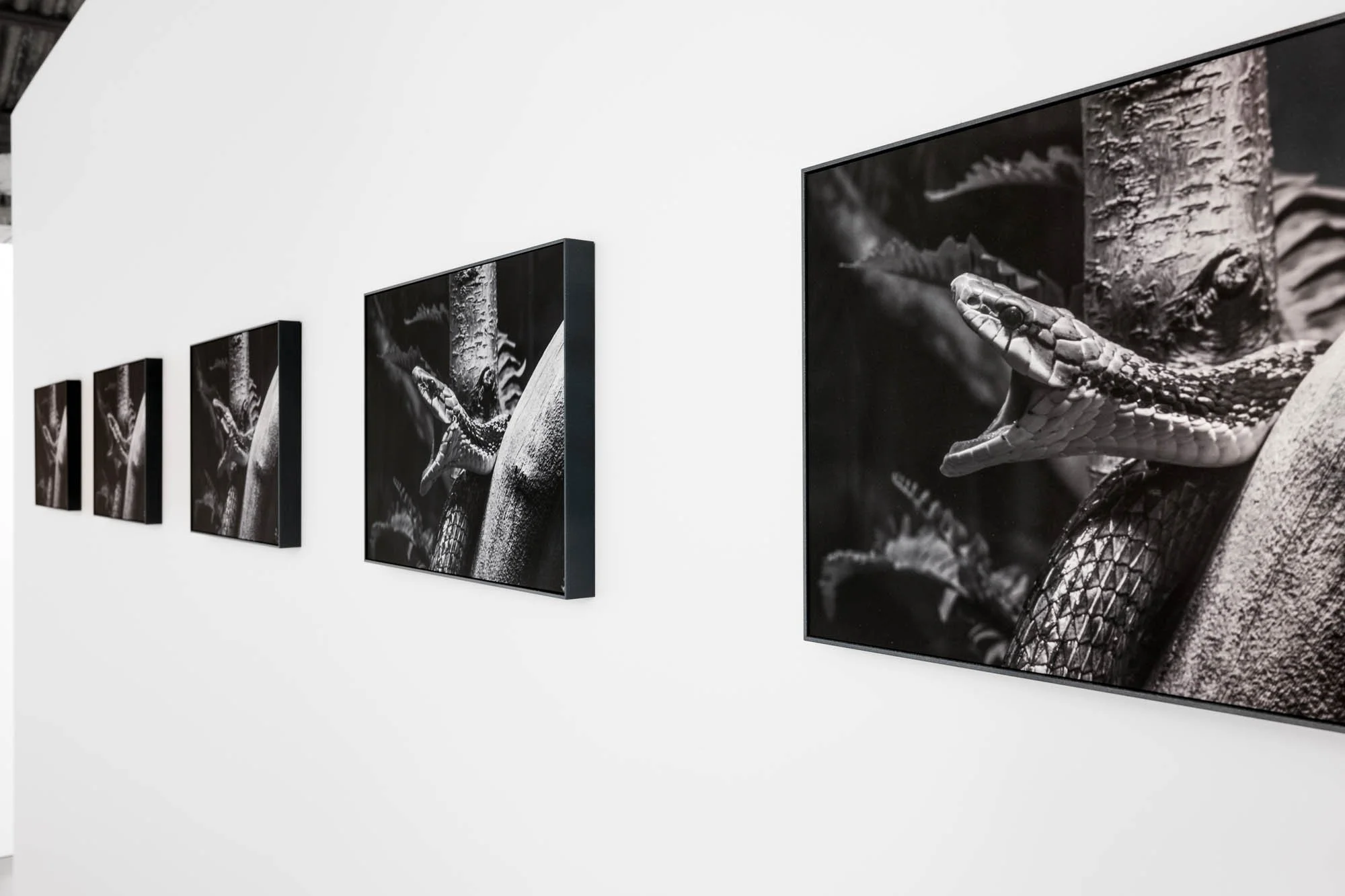 Tine Guns - Juggle Struggle_033_©CedricVerhelst.jpg