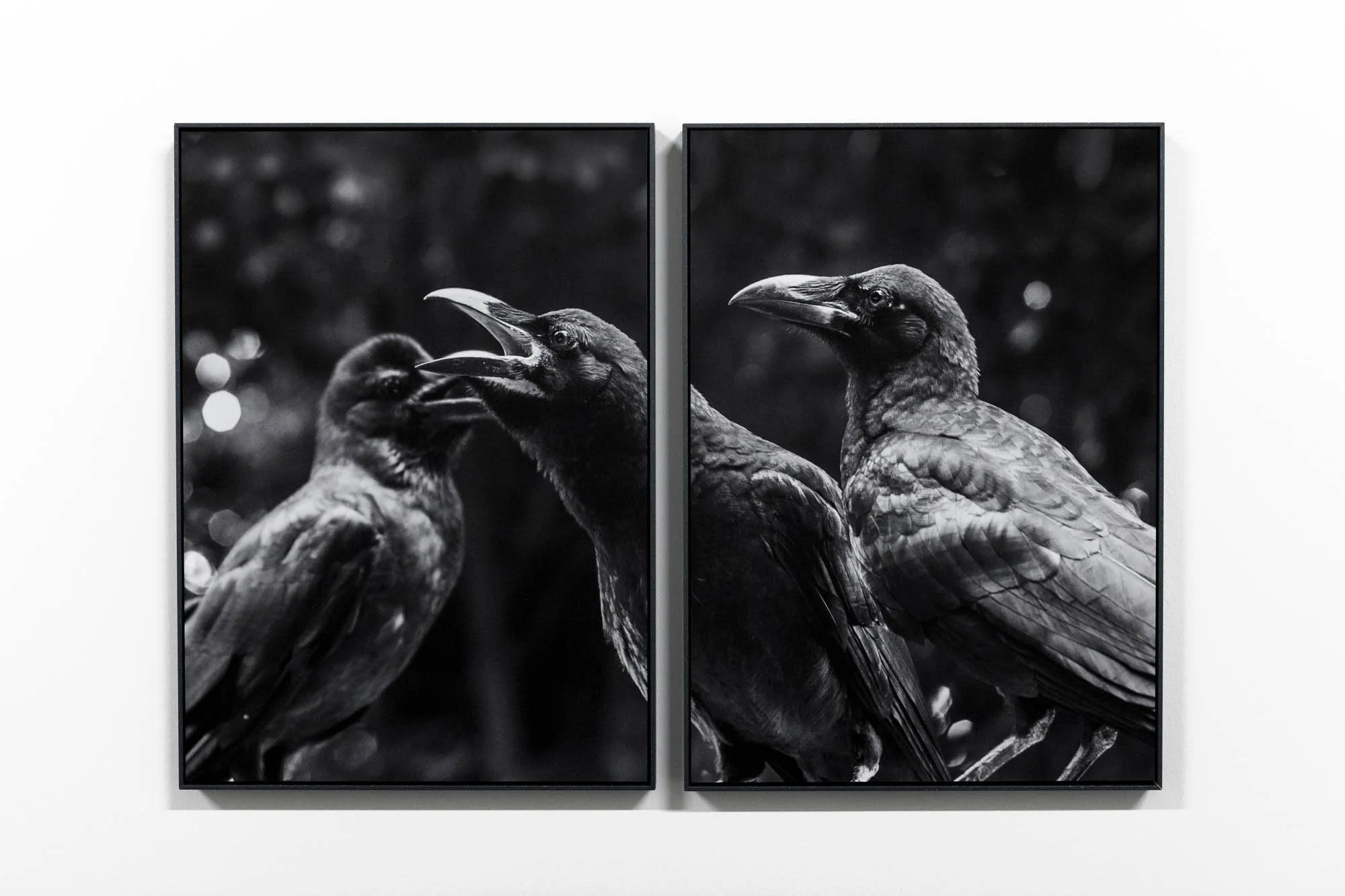 Tine Guns - Juggle Struggle_035_©CedricVerhelst.jpg