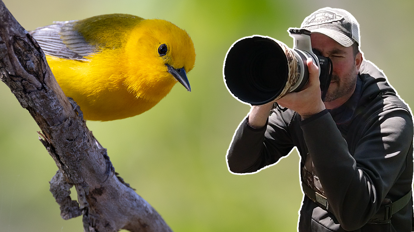 Magee Website Thumbnail.png