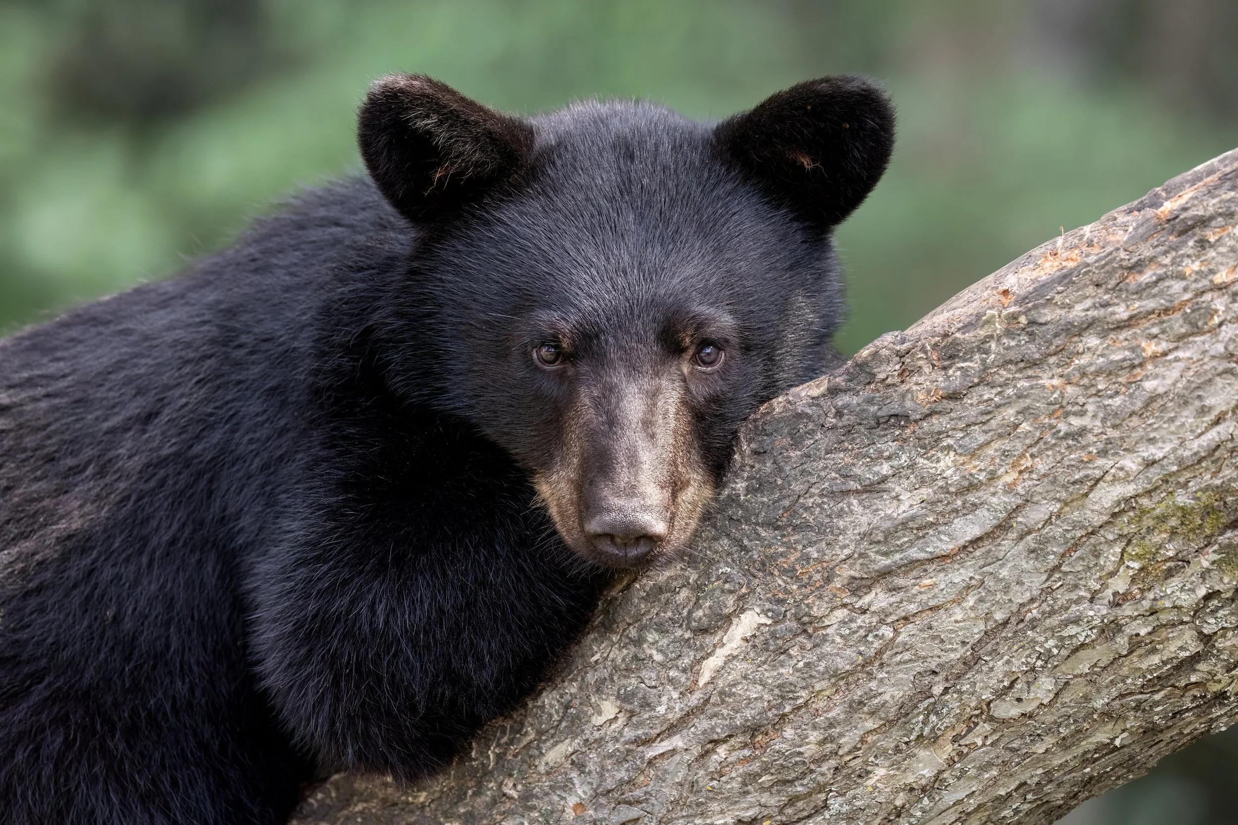 Edited-0138-MEDIUM RES-.jpg