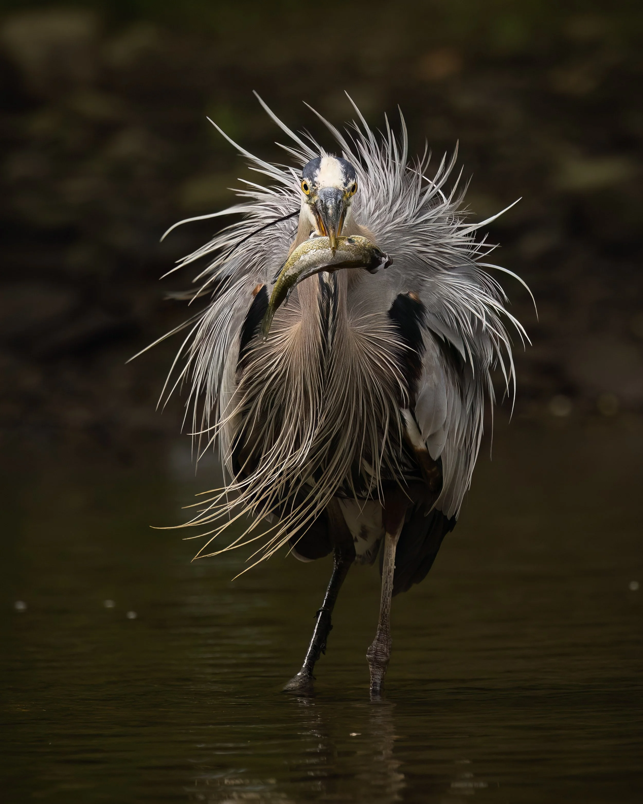 Edited-2168-LOW RES-.jpg