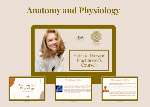 Course titled 'Holistic Therapy Practitioner's Course' in anatomy and physiology, with a smiling girl in a white coat, digital presentation slides about anatomical and muscular systems.