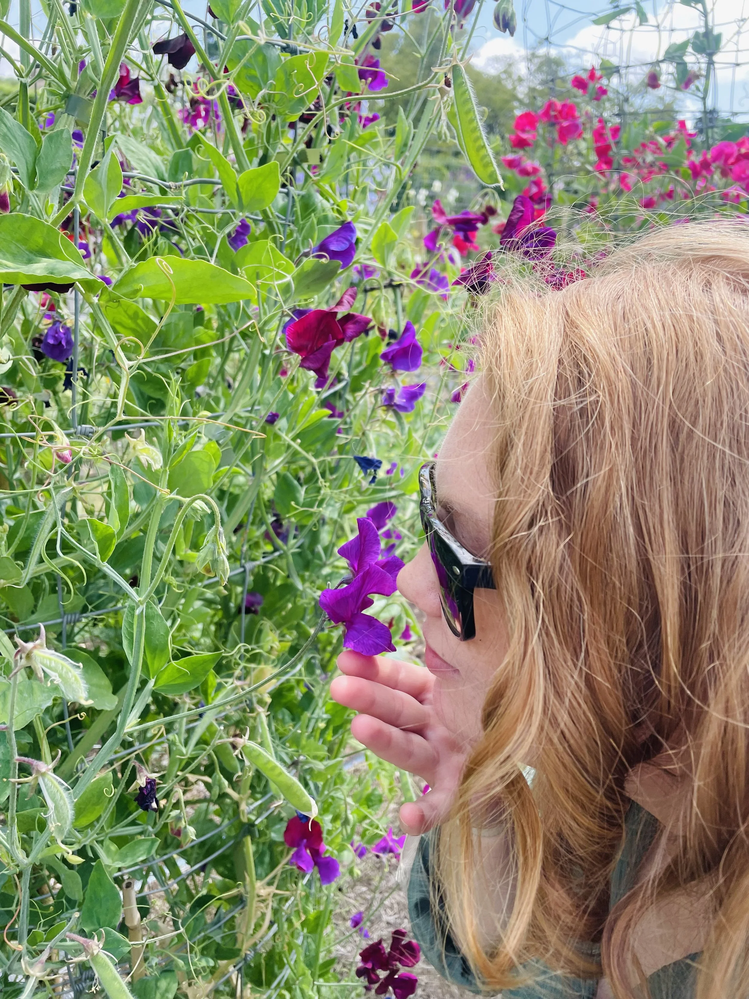 A woman with red hair, wearing sunglasses, smelling purple and pink flowers in a garden or greenhouse.