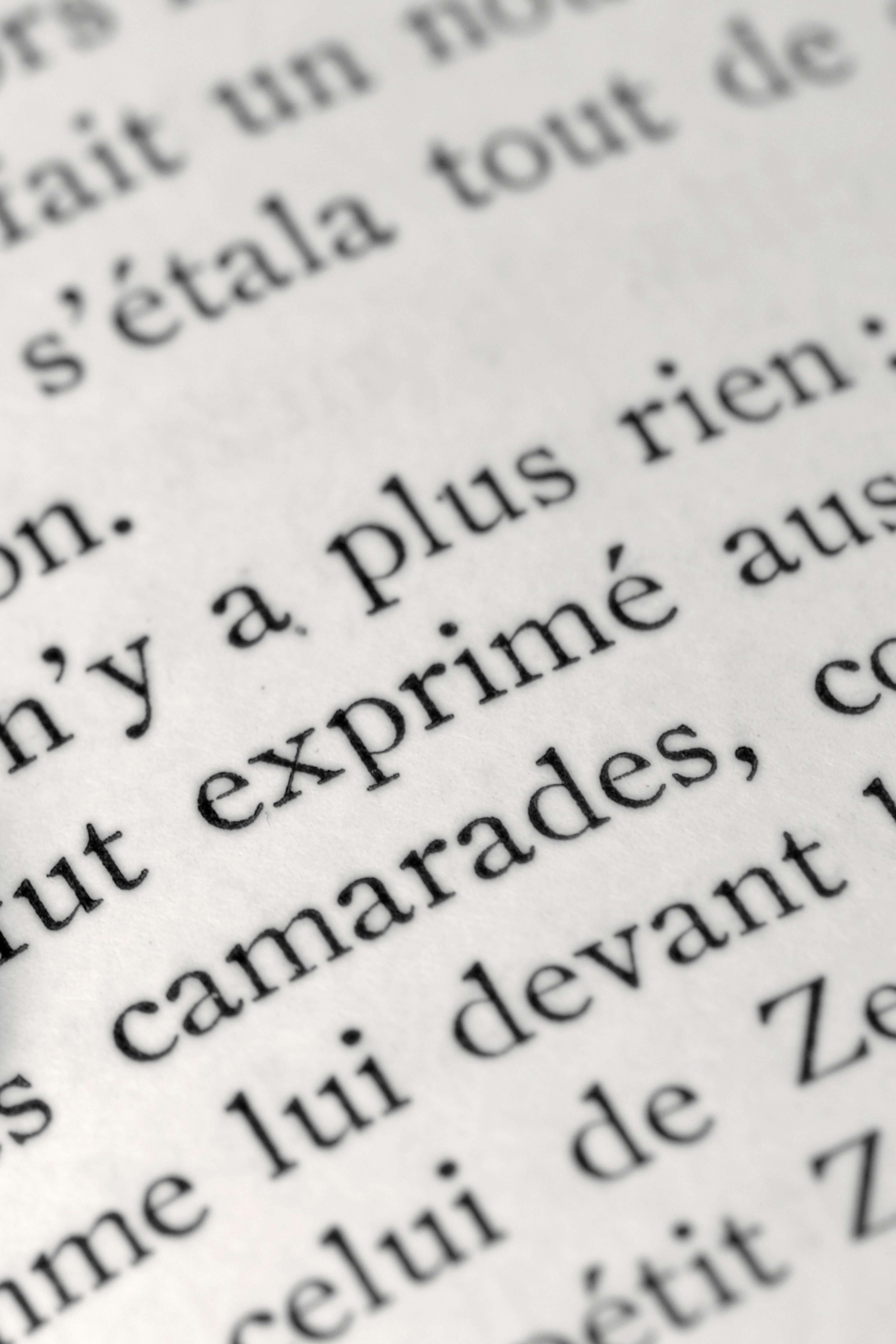 A close up of a french word in a dictionary.