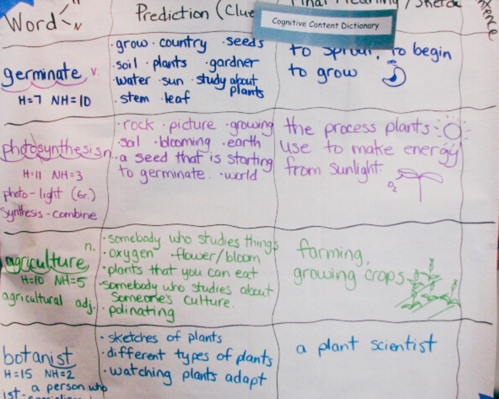 Project GLAD Cognitive Content Dictionary anchor chart showing vocabulary words like germinate and photosynthesis with student predictions and definition.