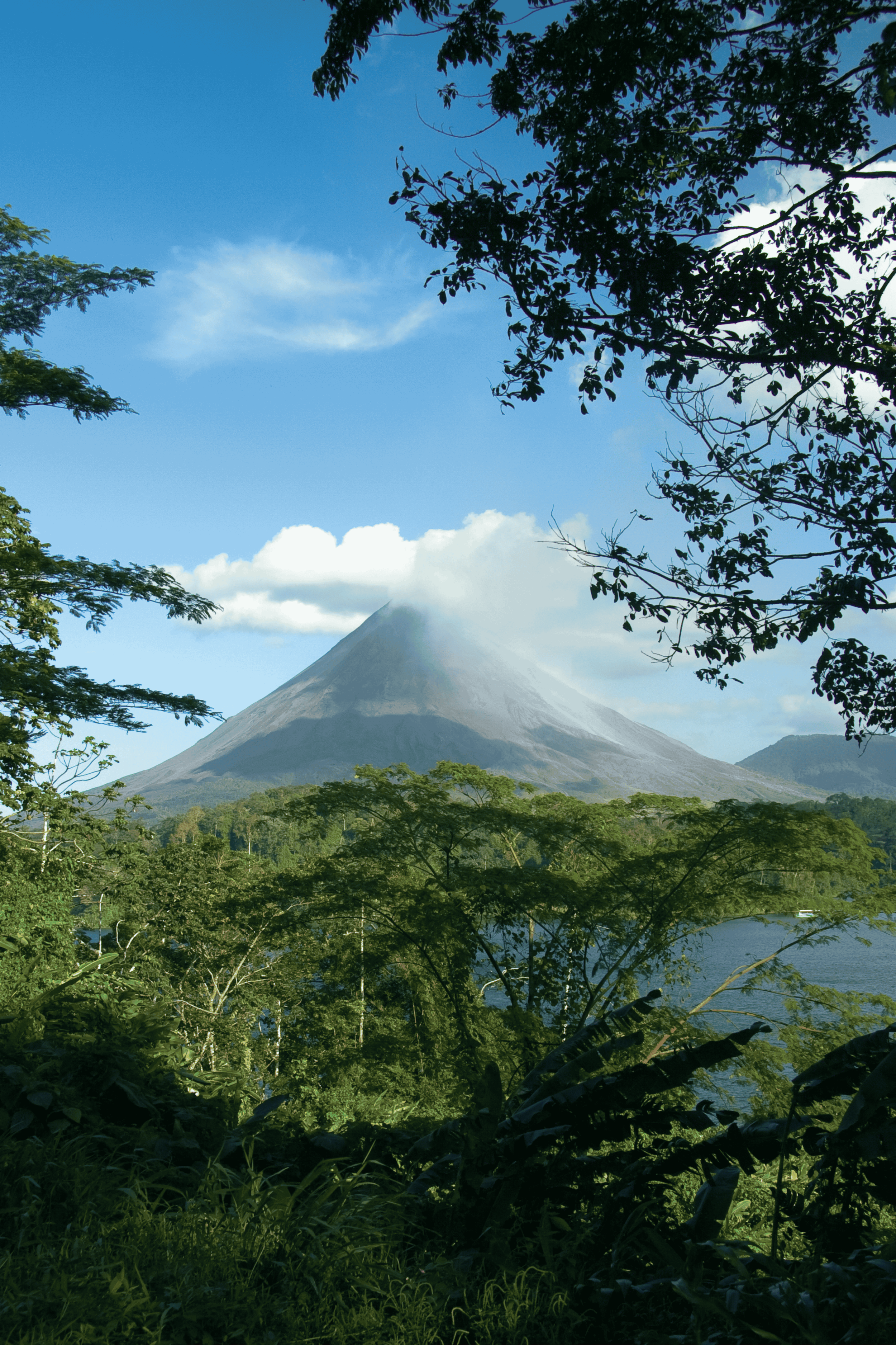Idioma Course - Pura Vida Educator Experience.png