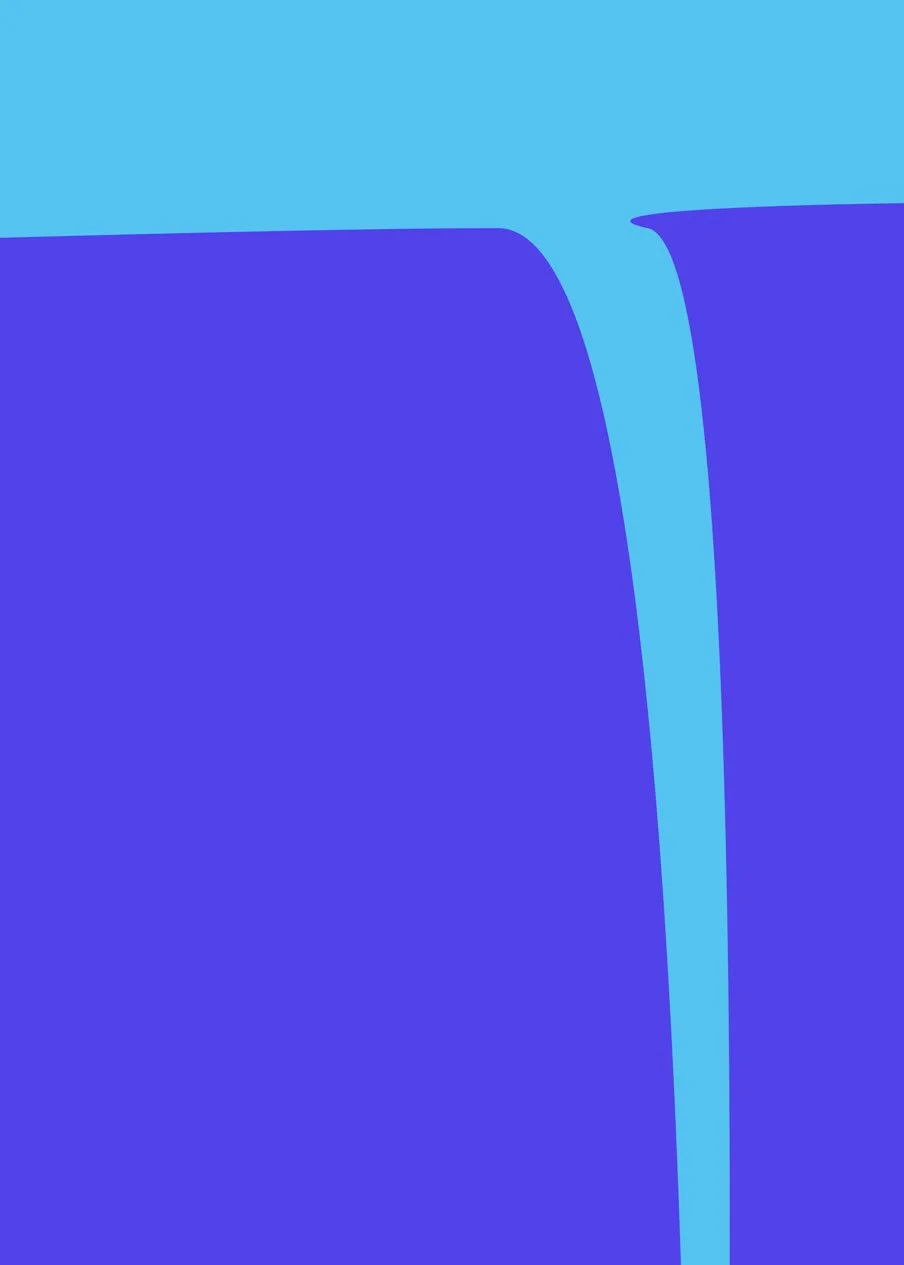 The STRP : Collection Detail 02.jpg