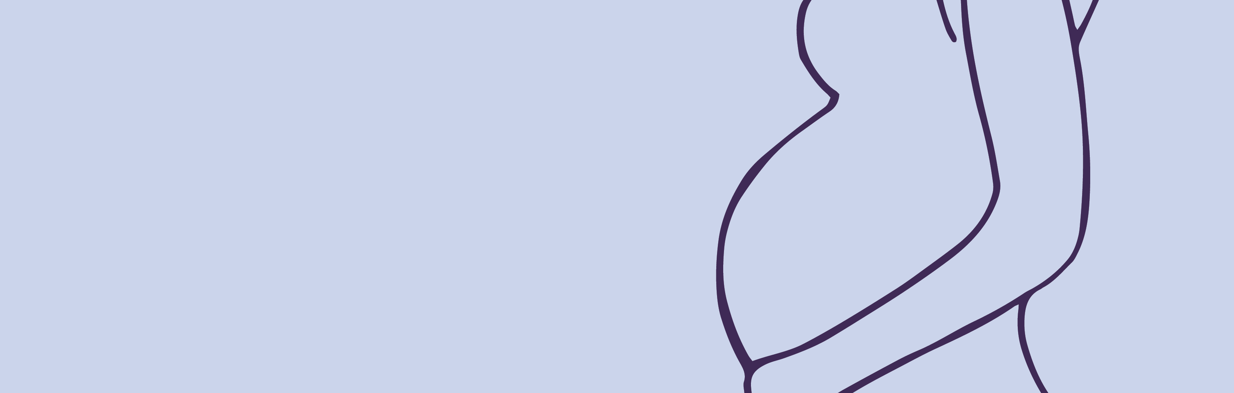 Pregnancy Banner.png