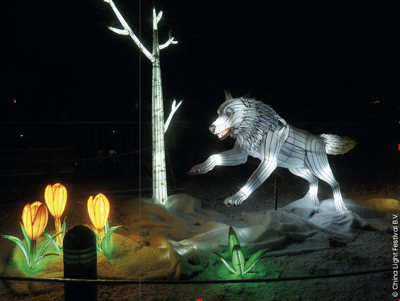 Animaux de Lumière 2025 Odyssée Sauvage Terres de Nataé avec China Light - loup article article Sorti Ici octobre 2025.png