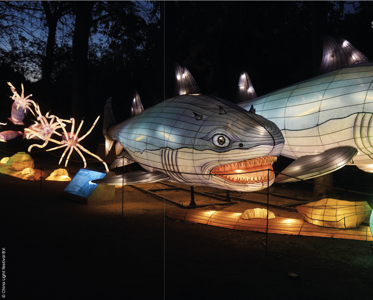 Animaux de Lumière 2025 Odyssée Sauvage Terres de Nataé avec China Light - requin article sortir ici octobre 2025.png