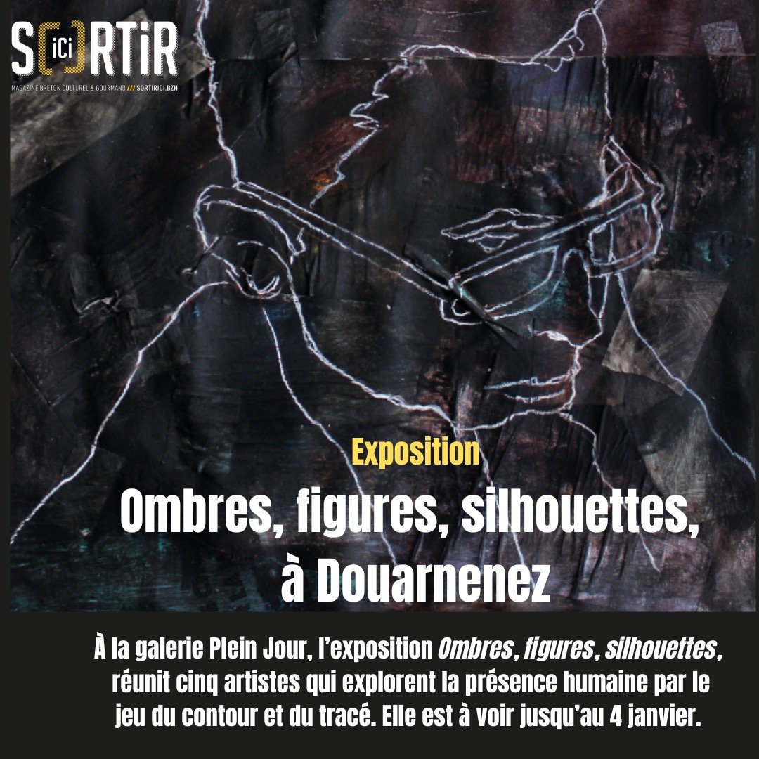 ❤️ Vous &ecirc;tes en vacances en Bretagne, vous souhaitez vous balader &agrave; @douarnenez.bzh , profitez en pour d&eacute;couvrir l'expo qui se tient actuellement &agrave; la @galeriepleinjour ! Vous pourrez appr&eacute;cier les oeuvres de cinq ar