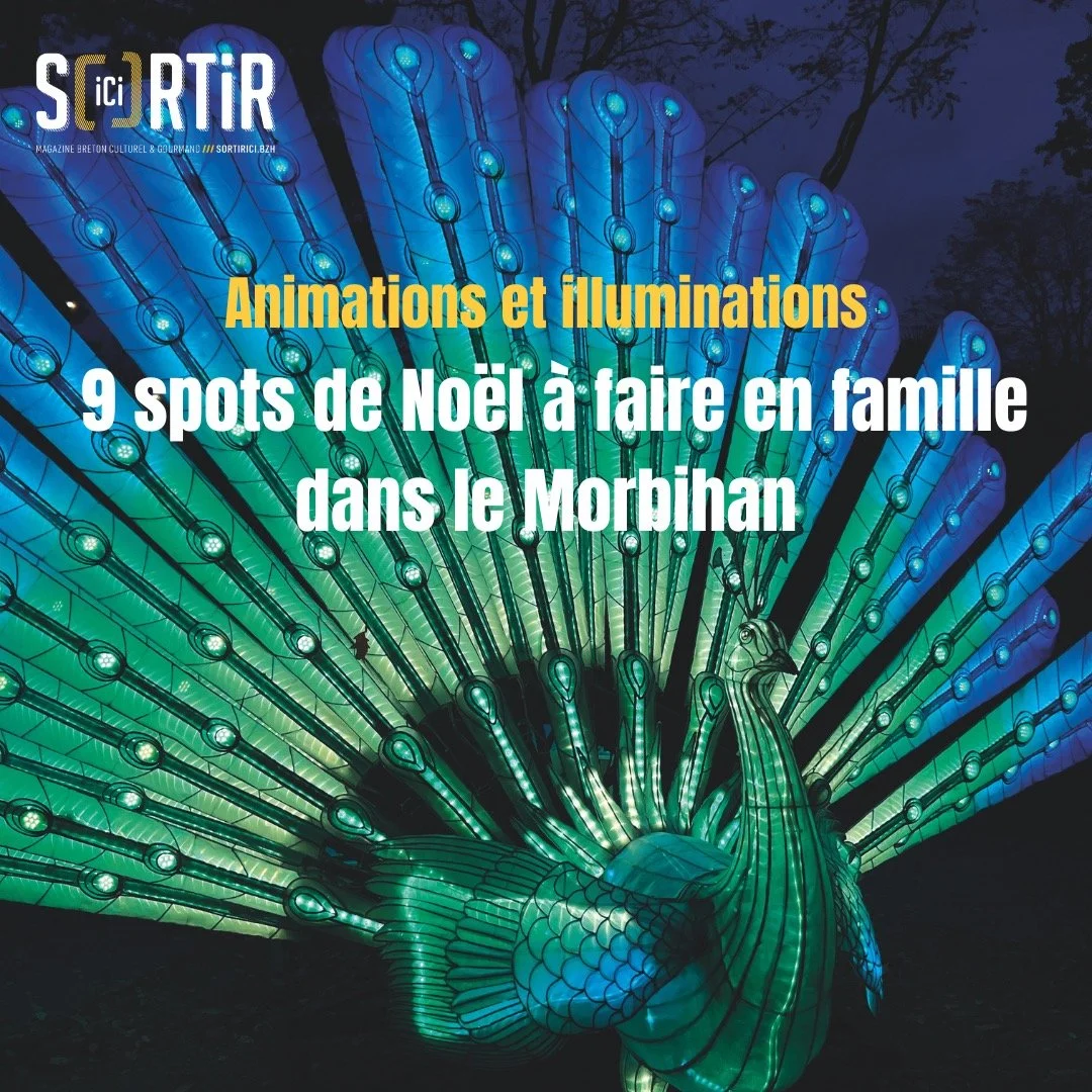 🎄Plus que quelques jours avant le d&eacute;but de vacances de No&euml;l. La r&eacute;daction de Sortir Ici vous a concoct&eacute; les animations et illuminations &agrave; faire en famille et avec vos amis. Tous les articles sont &agrave; retrouver g