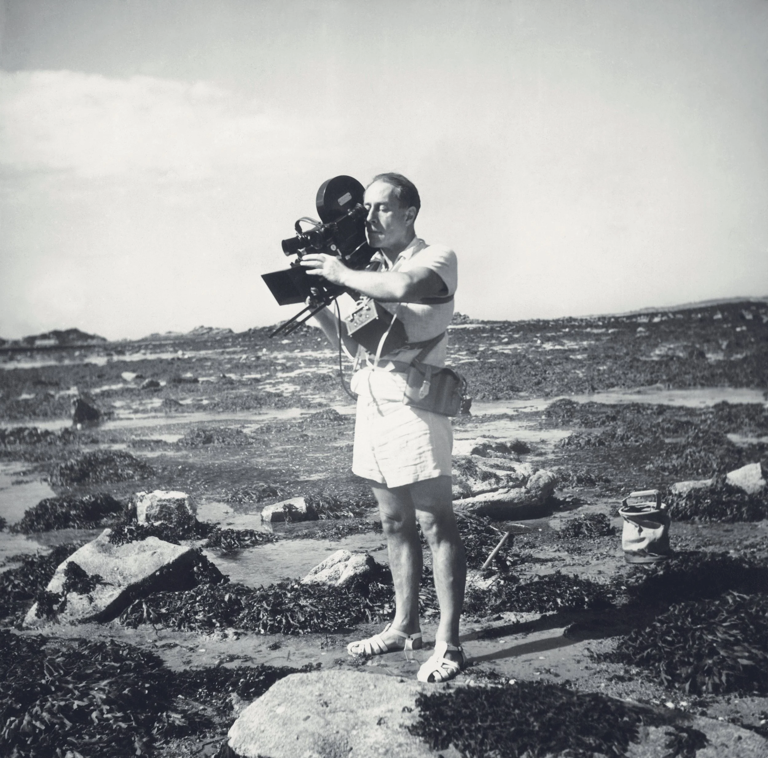 EXPO Jean Painlevé à Pont-Aven : une immersion scientifique sur le littoral breton