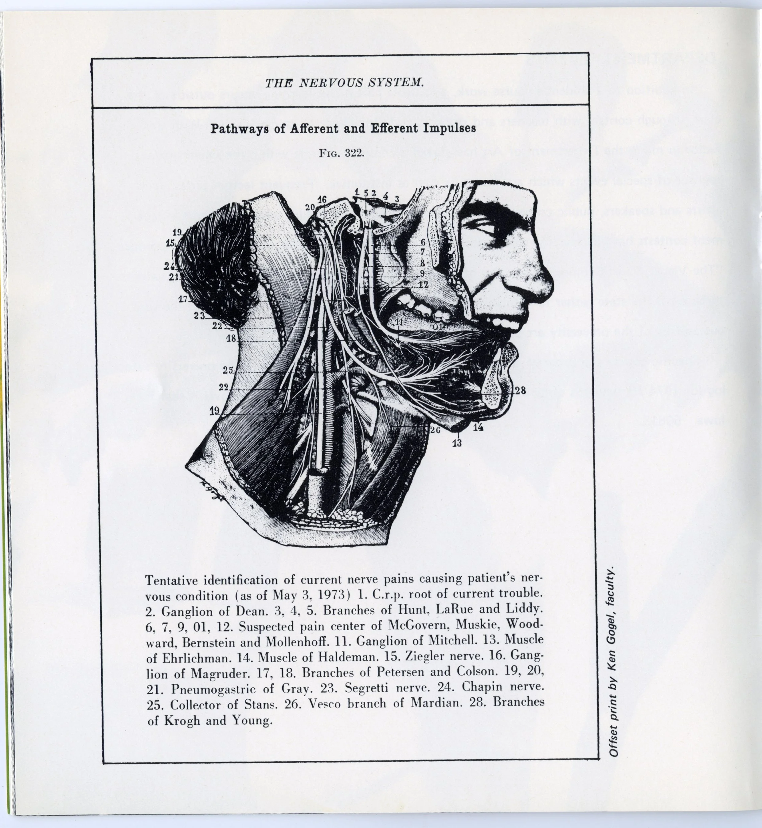 1974 Dept of Art 14.jpg