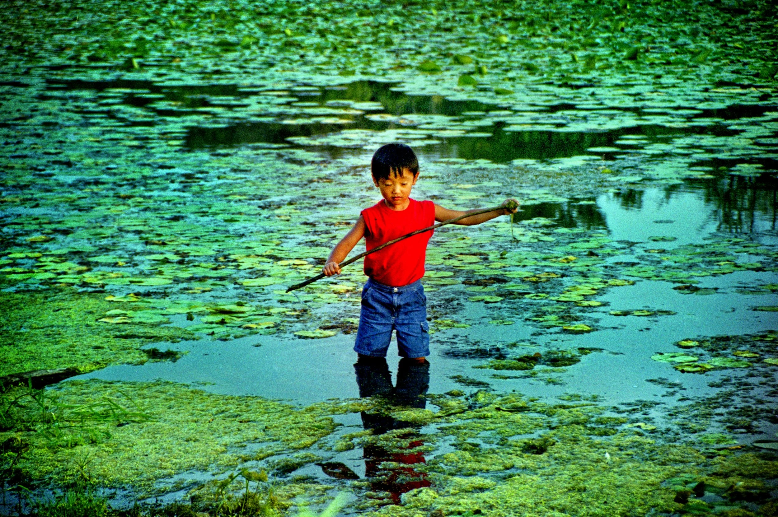 Frog Hunting • Cedar Falls, Iowa • 2002