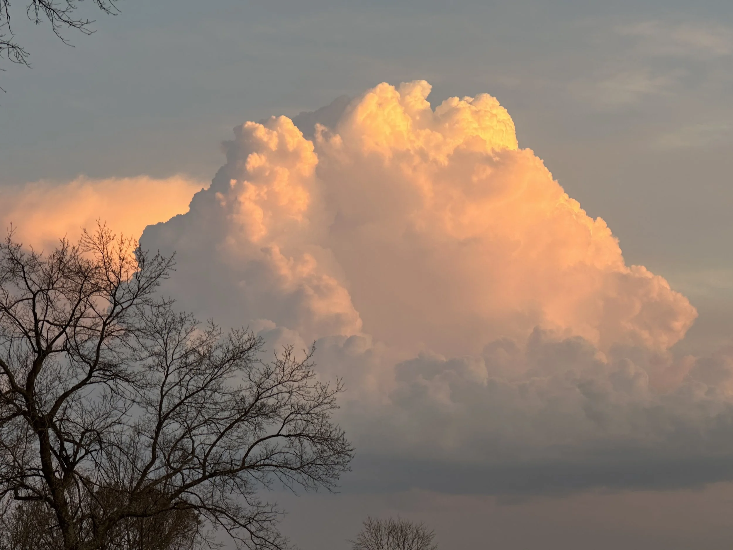 Beating a Computer at Poetry