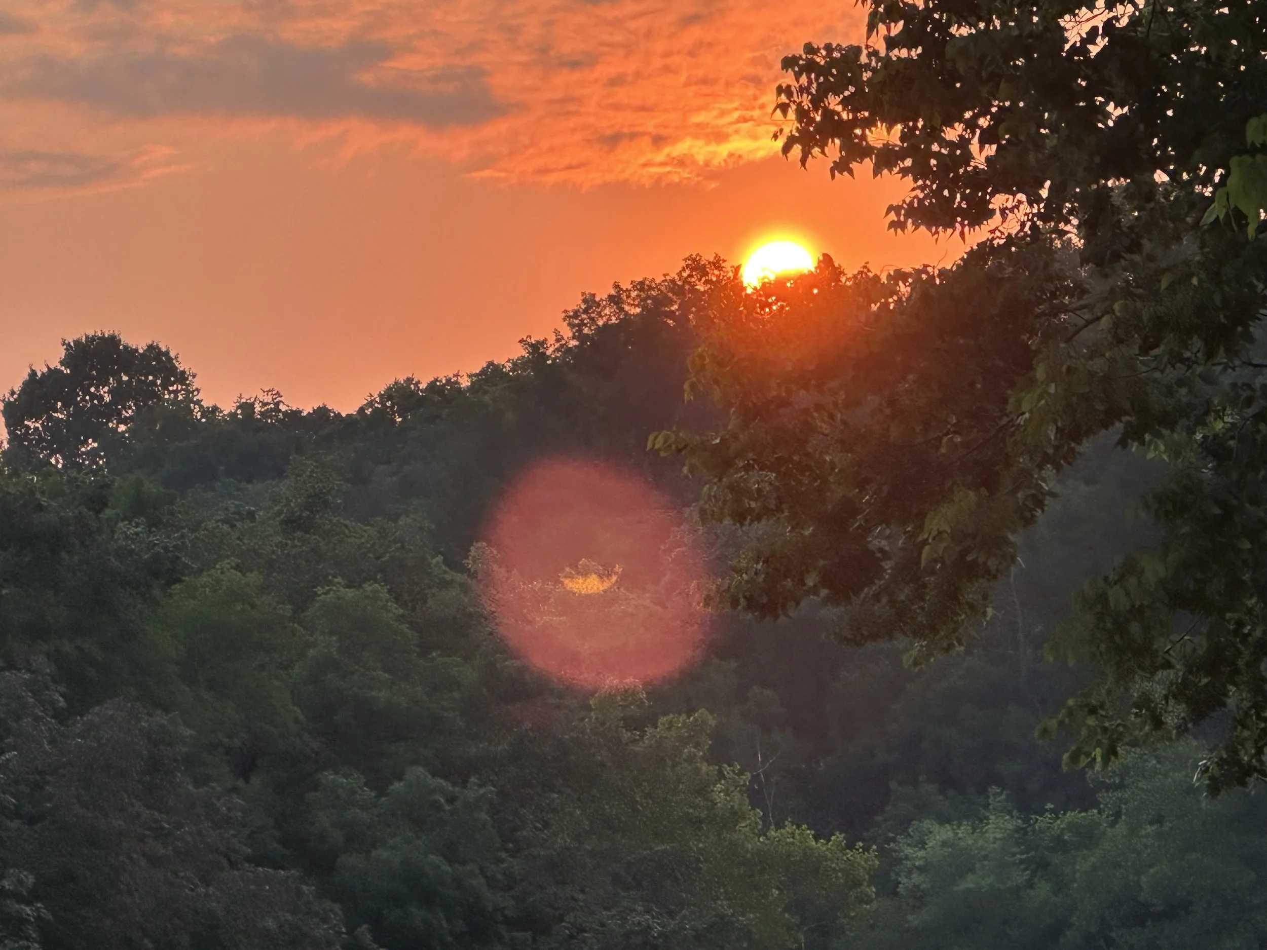 Four Gothic Dreams from a French Hermit