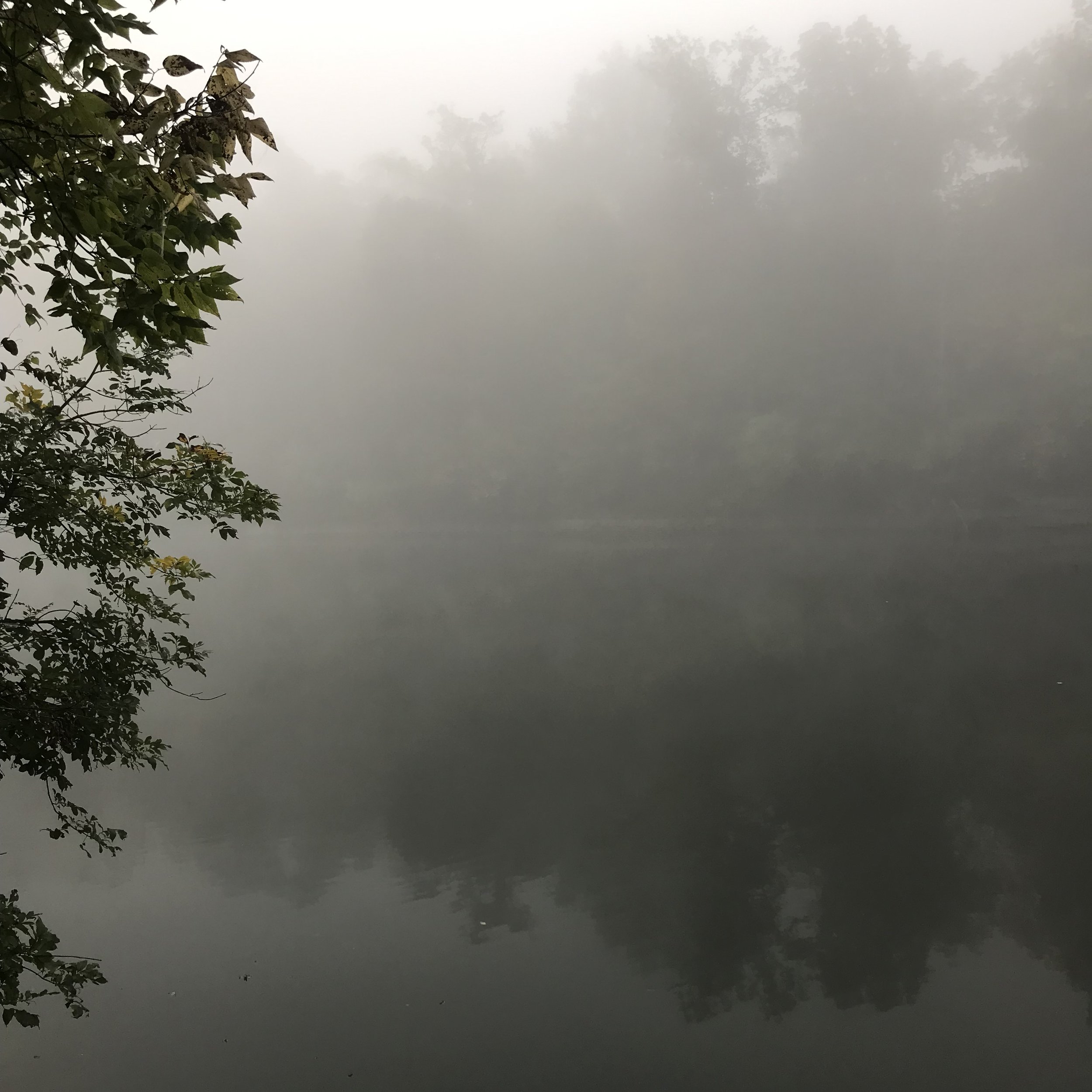 The King of the Universe: A Dream