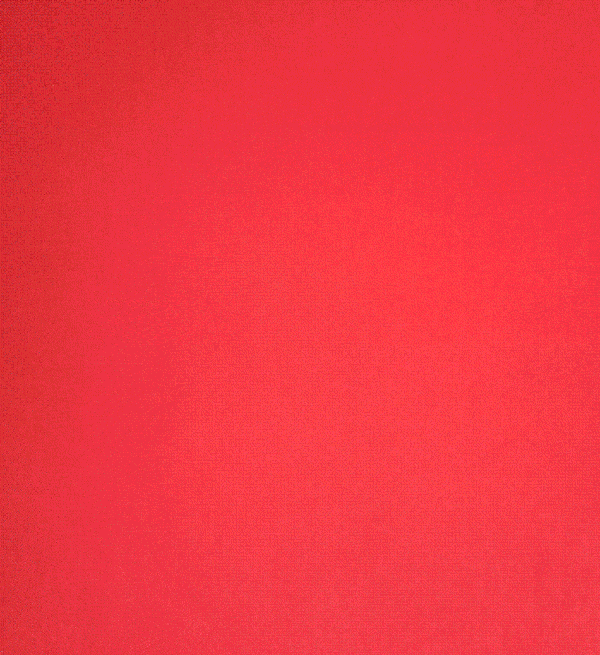 Compiled_8-resize-low.gif