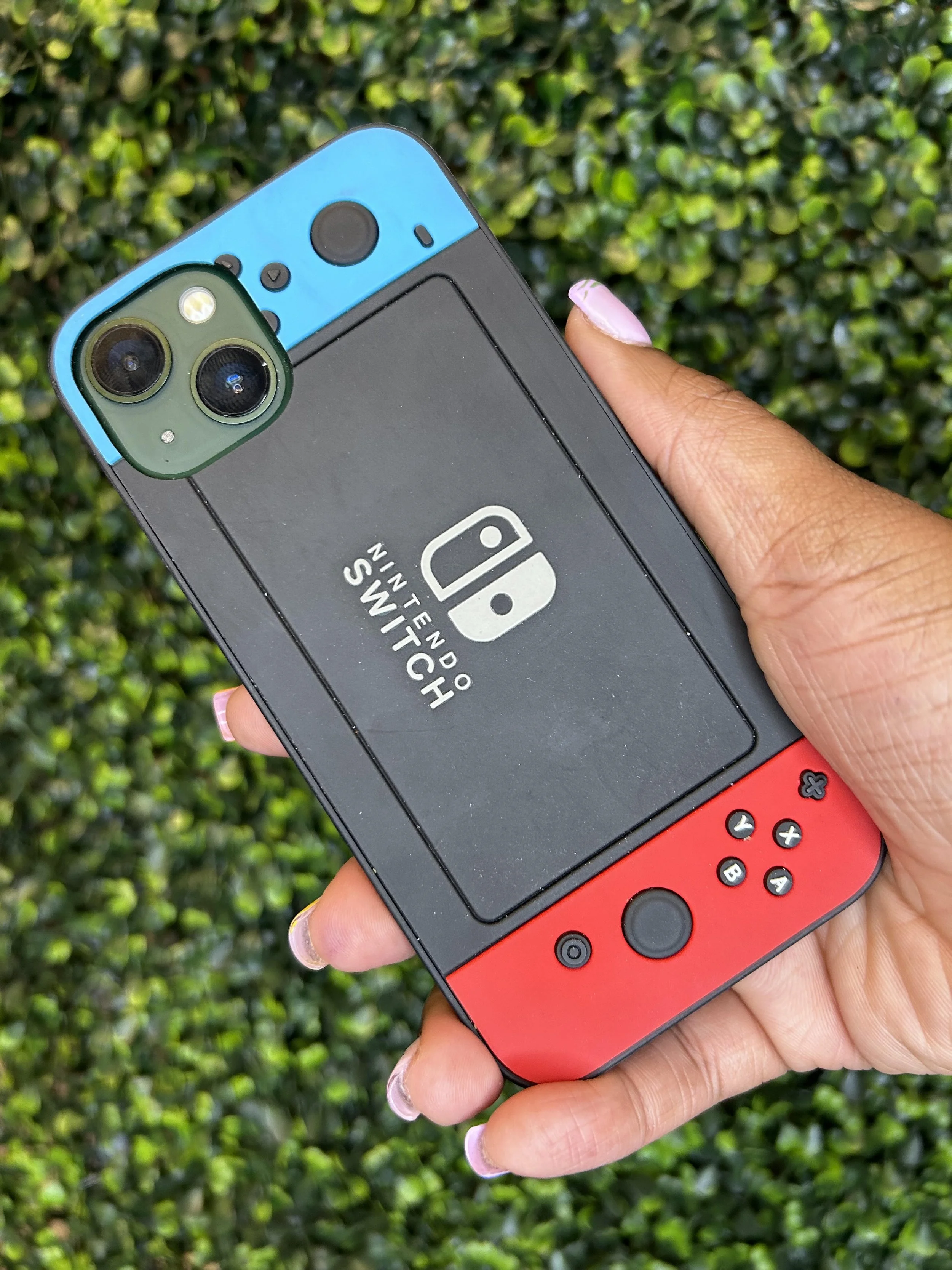 Blue & Red Nintendo Case