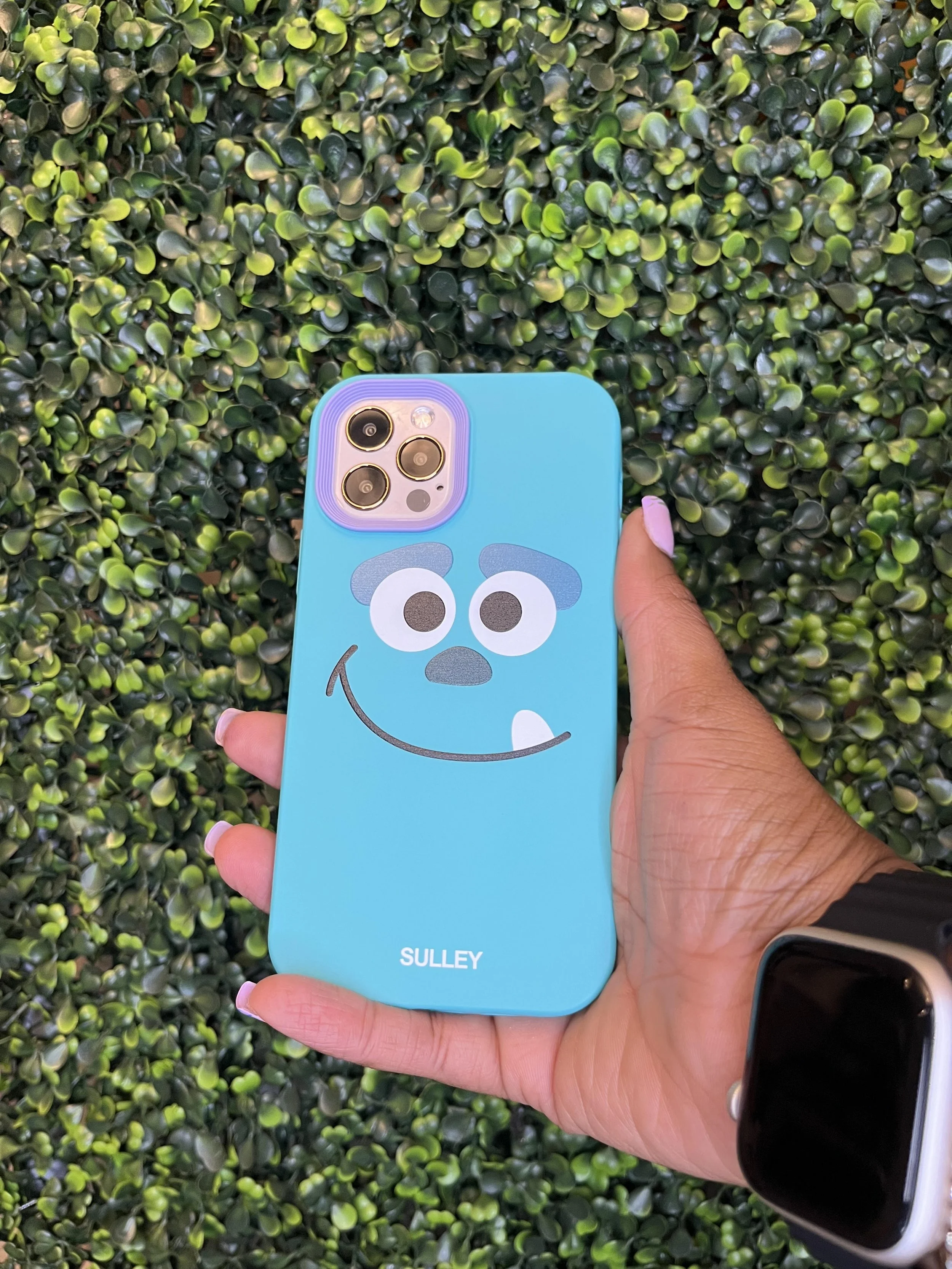 Monster Inc. Protective Case